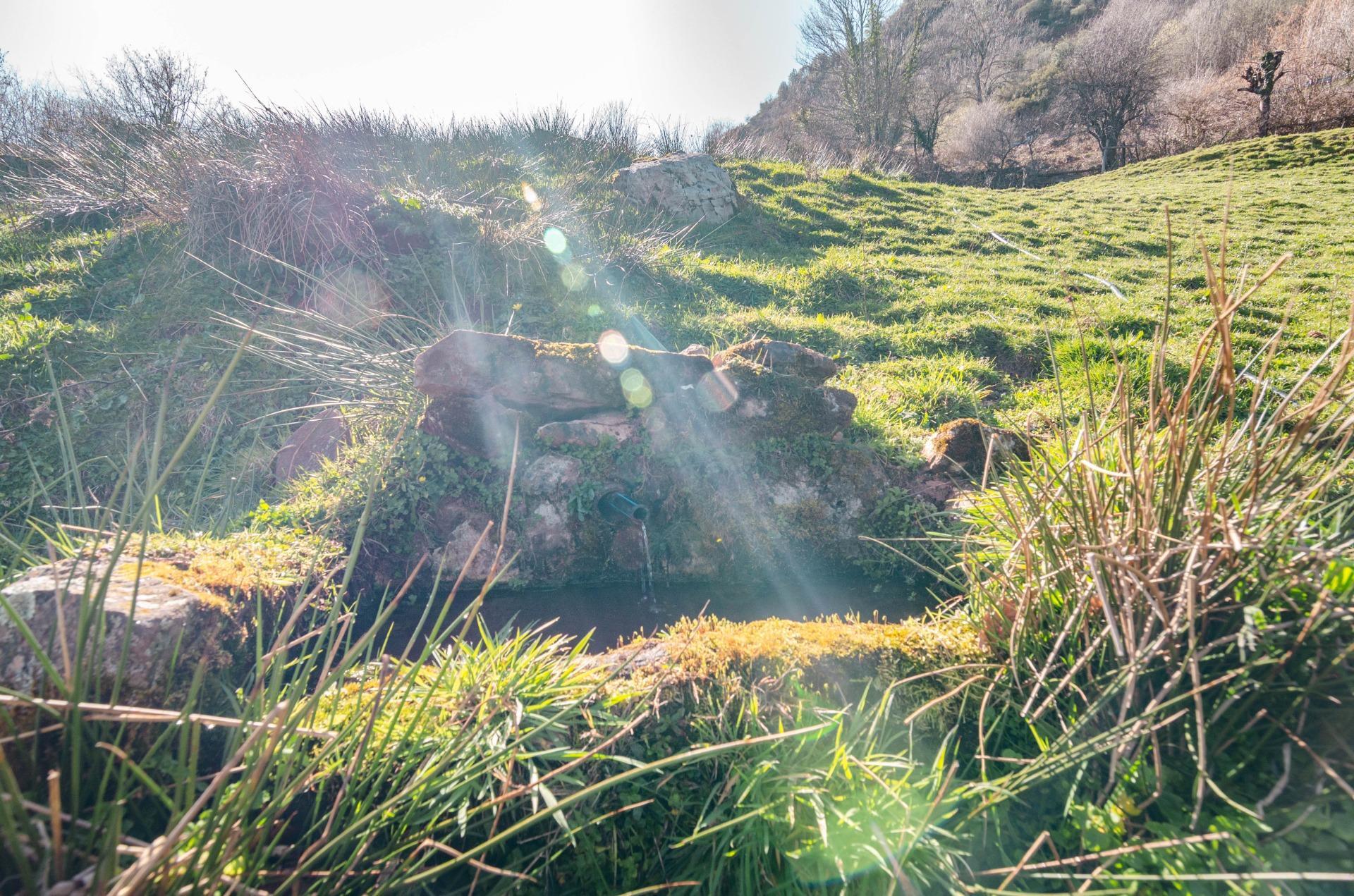 Casas o chalets-Venta-Teverga-2114543-Foto-25