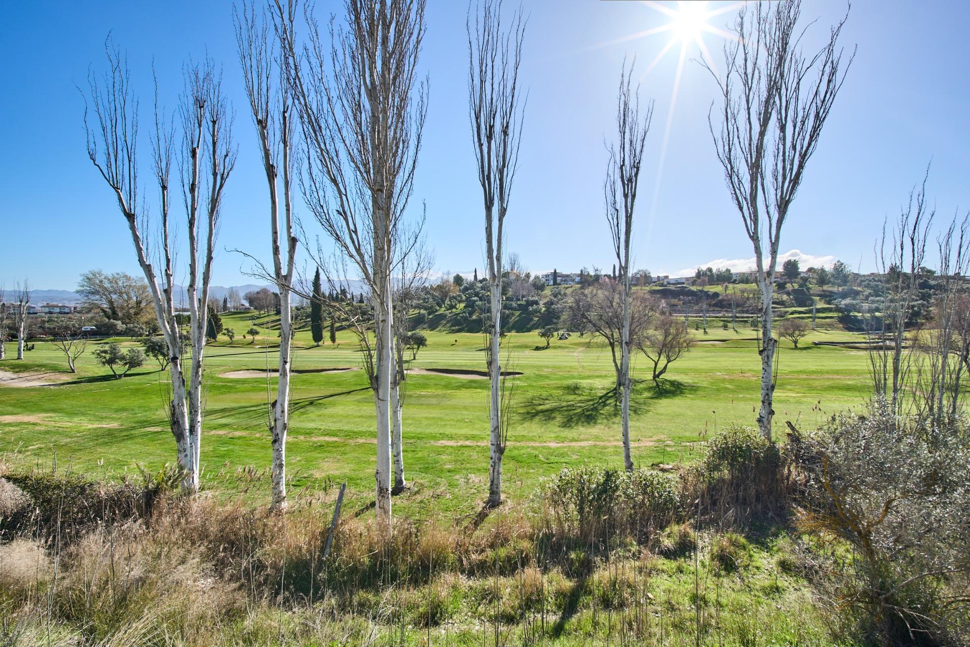 Casas o chalets-Venta-Las Gabias-1653332-Foto-46