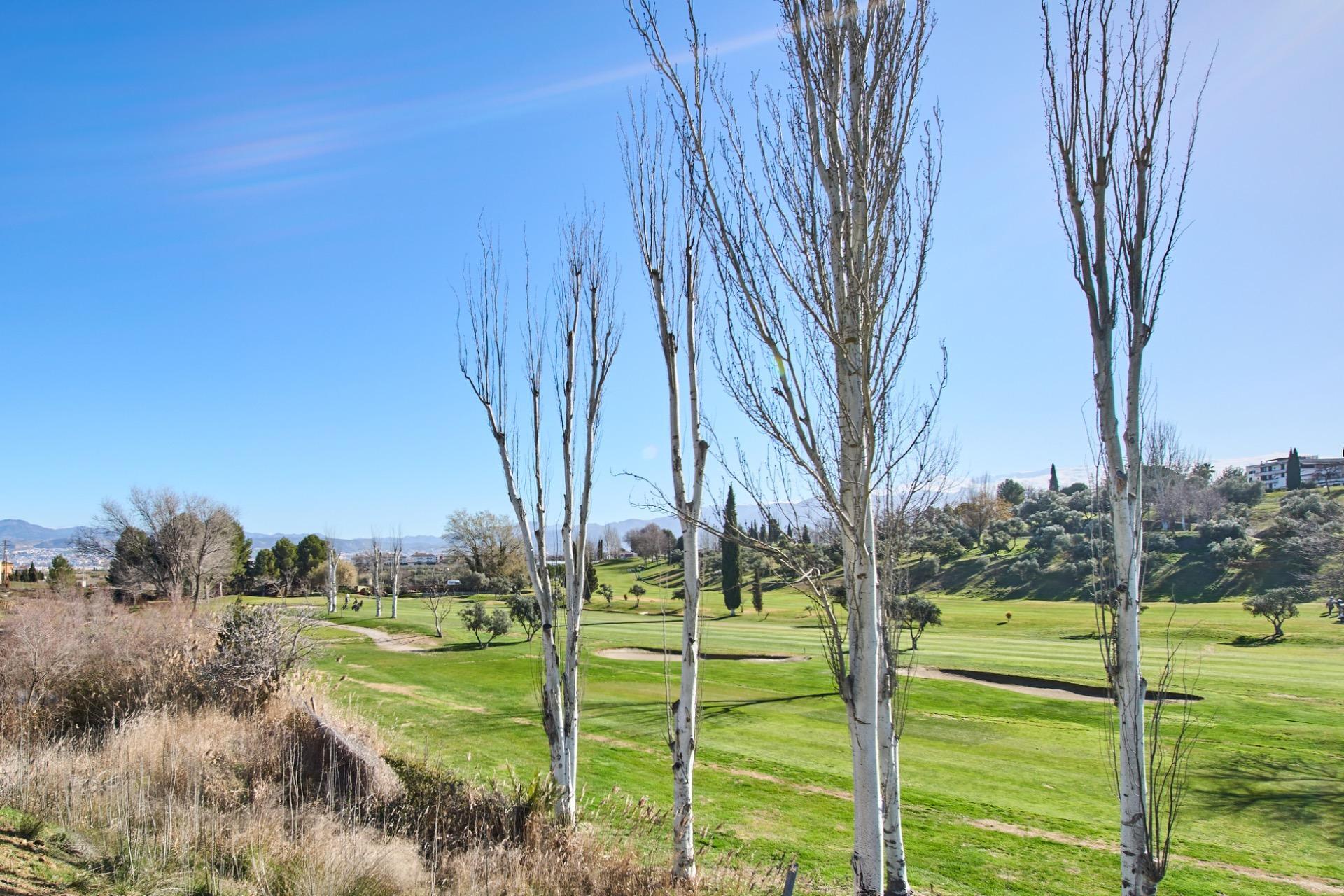 Casas o chalets-Venta-Las Gabias-1653332-Foto-47