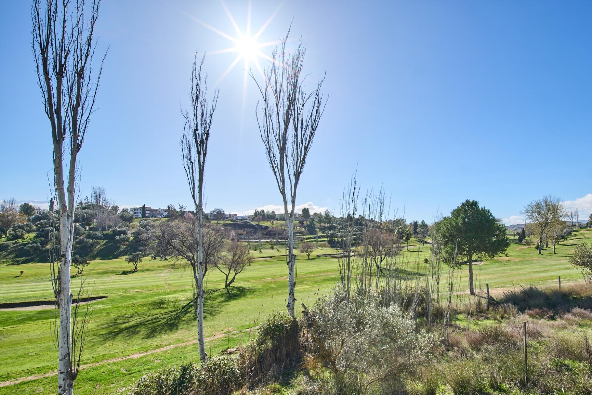 Casas o chalets-Venta-Las Gabias-1653332-Foto-48