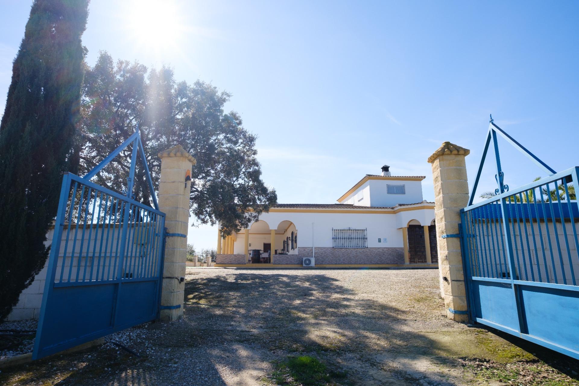 Casas o chalets-Venta-Lora del RÃ­o-2053425-Foto-39