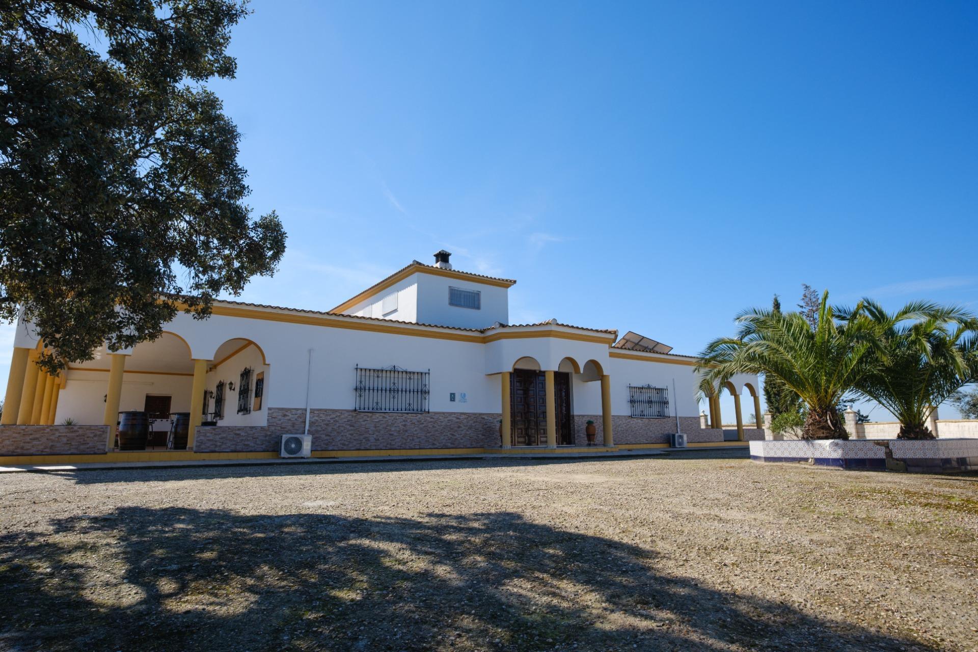Casas o chalets-Venta-Lora del RÃ­o-2053425-Foto-38