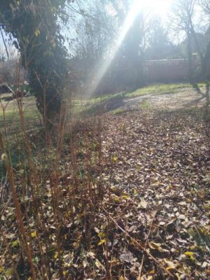 Casas o chalets-Venta-Ordis-2113698-Foto-7