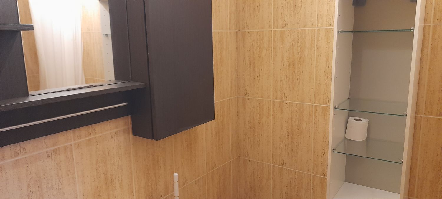 Pisos-Alquiler-Oviedo-2115332-Foto-9