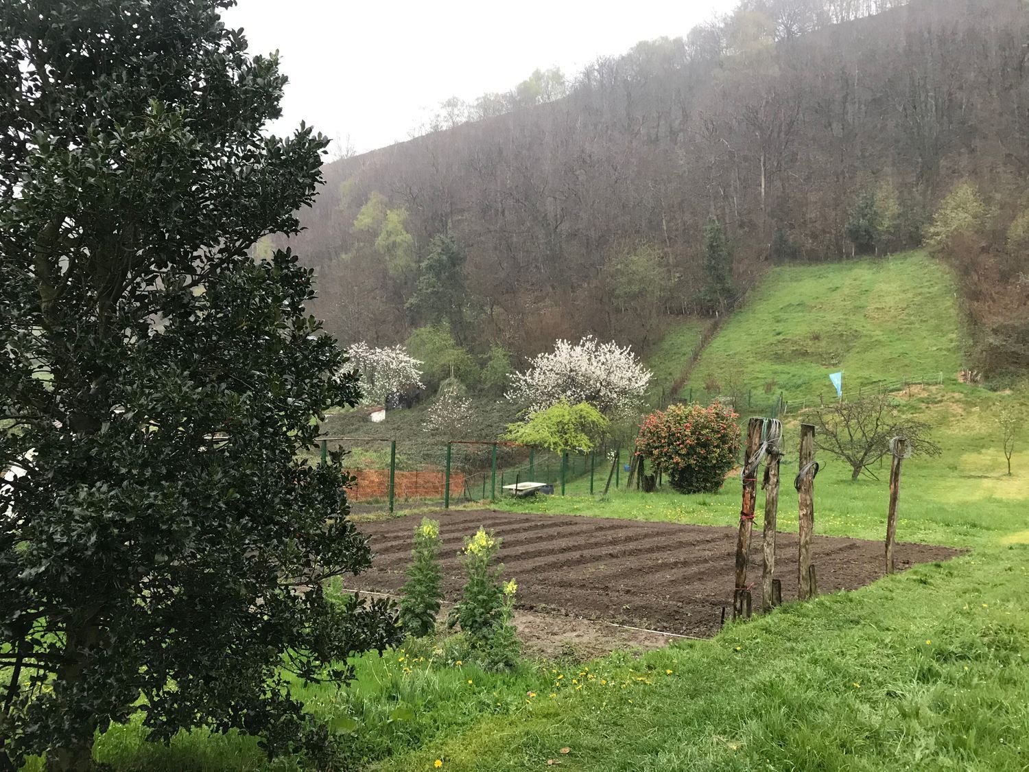 Fincas y solares-Venta-Mieres-447828-Foto-4