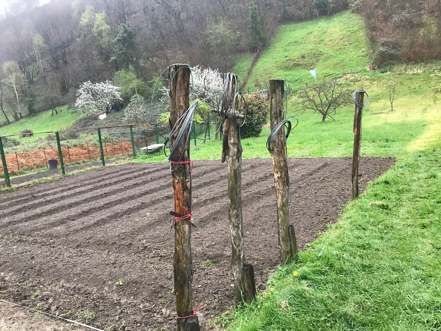 Fincas y solares-Venta-Mieres-447828-Foto-17