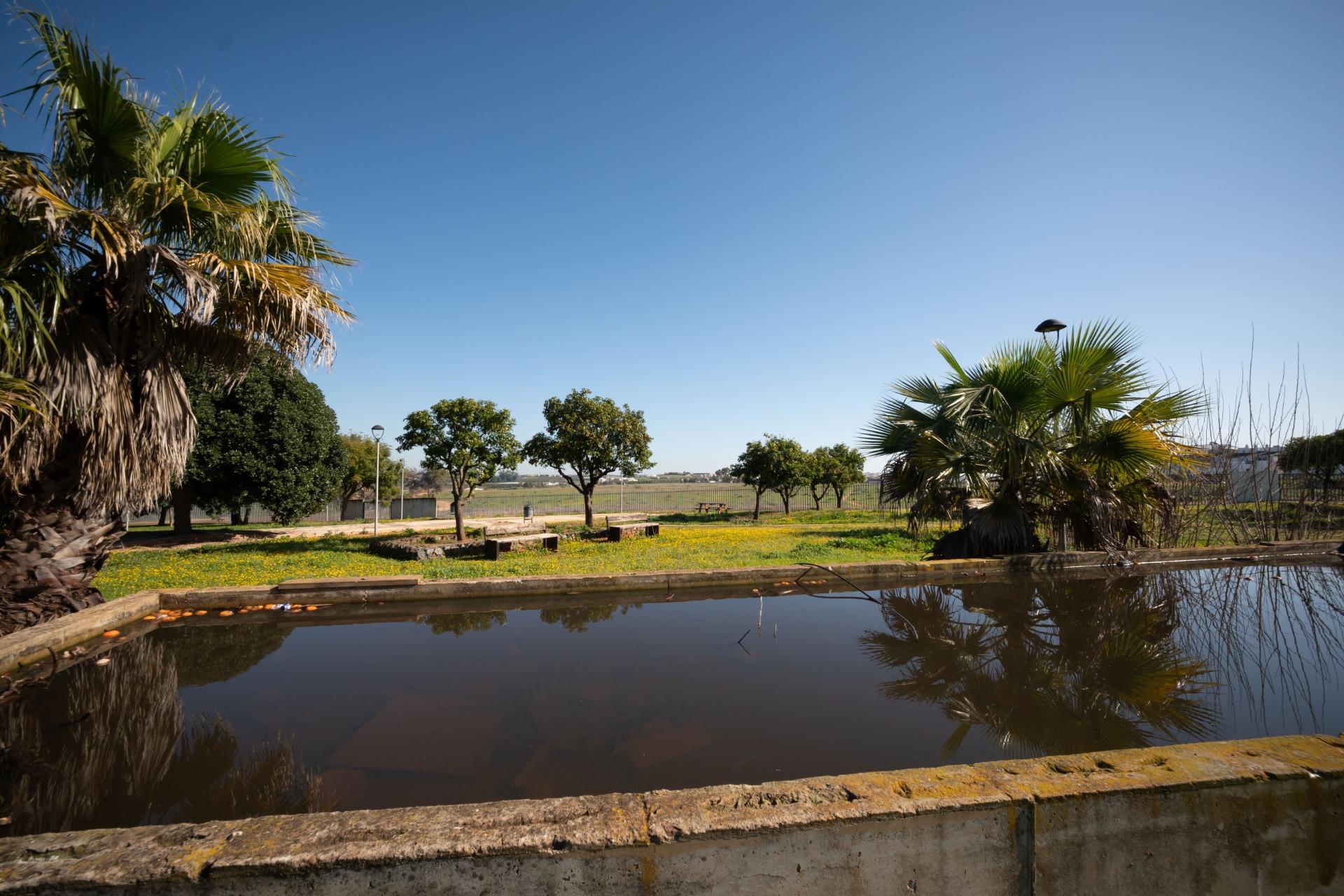 Casas o chalets-Venta-Mairena del Alcor-2115410-Foto-59