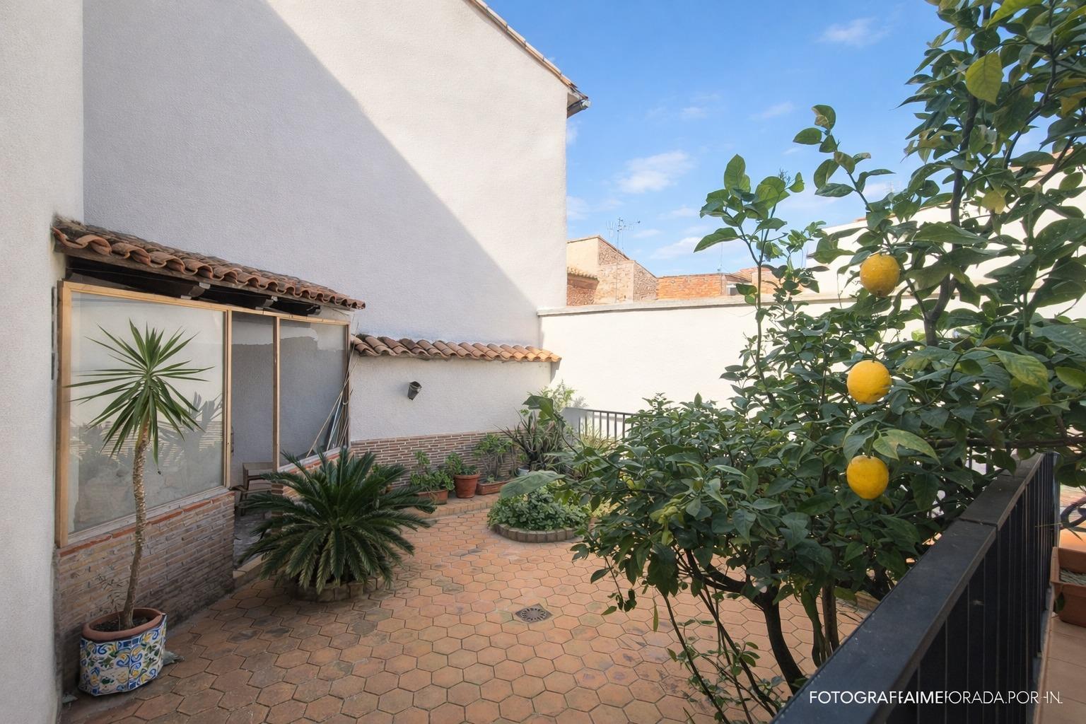 Casas o chalets-Venta-Sot de Ferrer-2115368-Foto-24