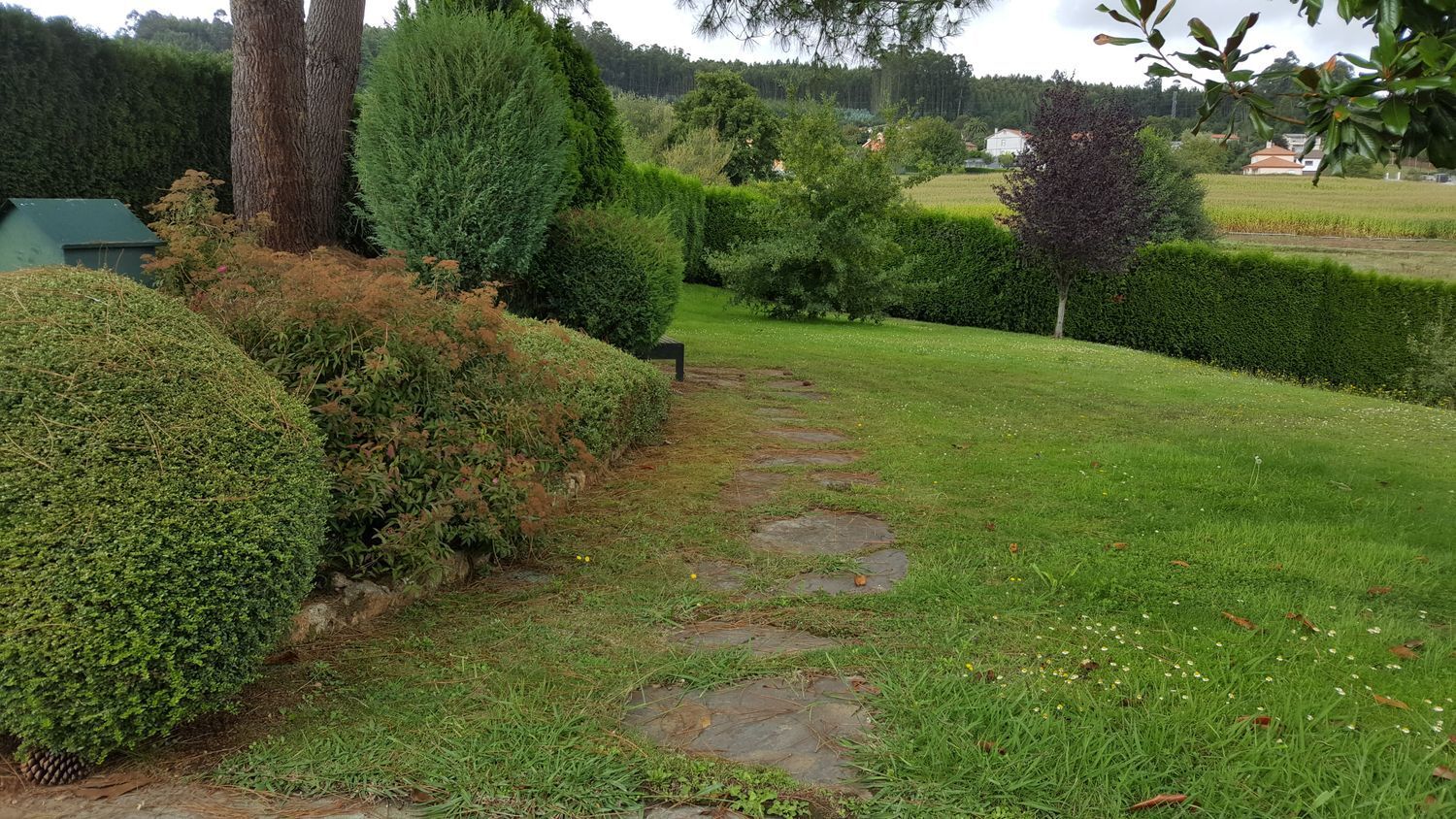 Casa en venta  Abegondo, A Coruña  71/88