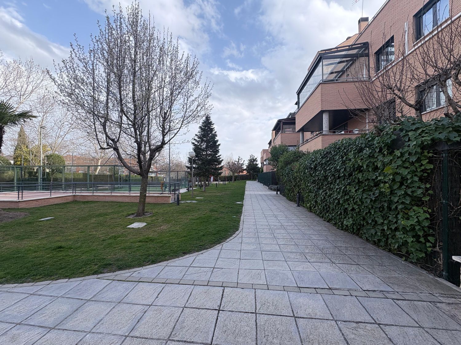 Pisos-Alquiler-Las Rozas de Madrid-2115374-Foto-46