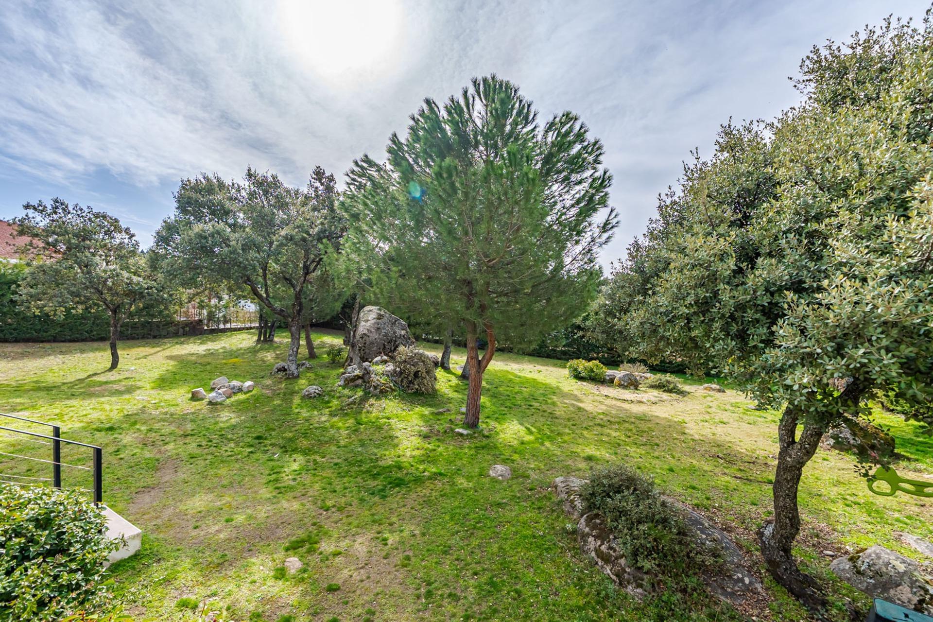 Casas o chalets-Venta-El Espinar-2115413-Foto-61