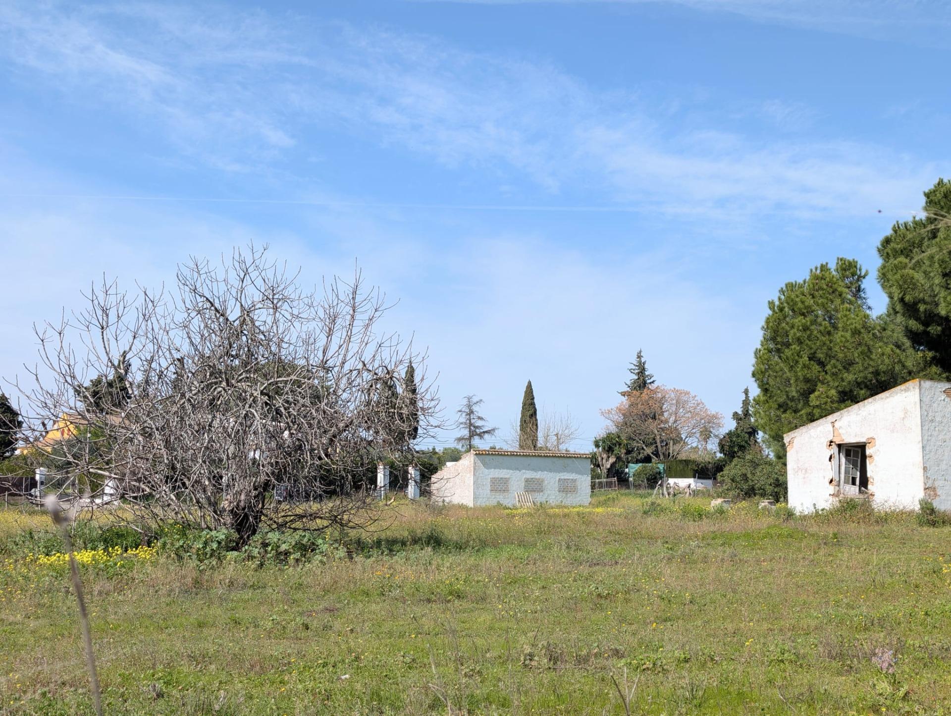 Casas o chalets-Venta-2115829