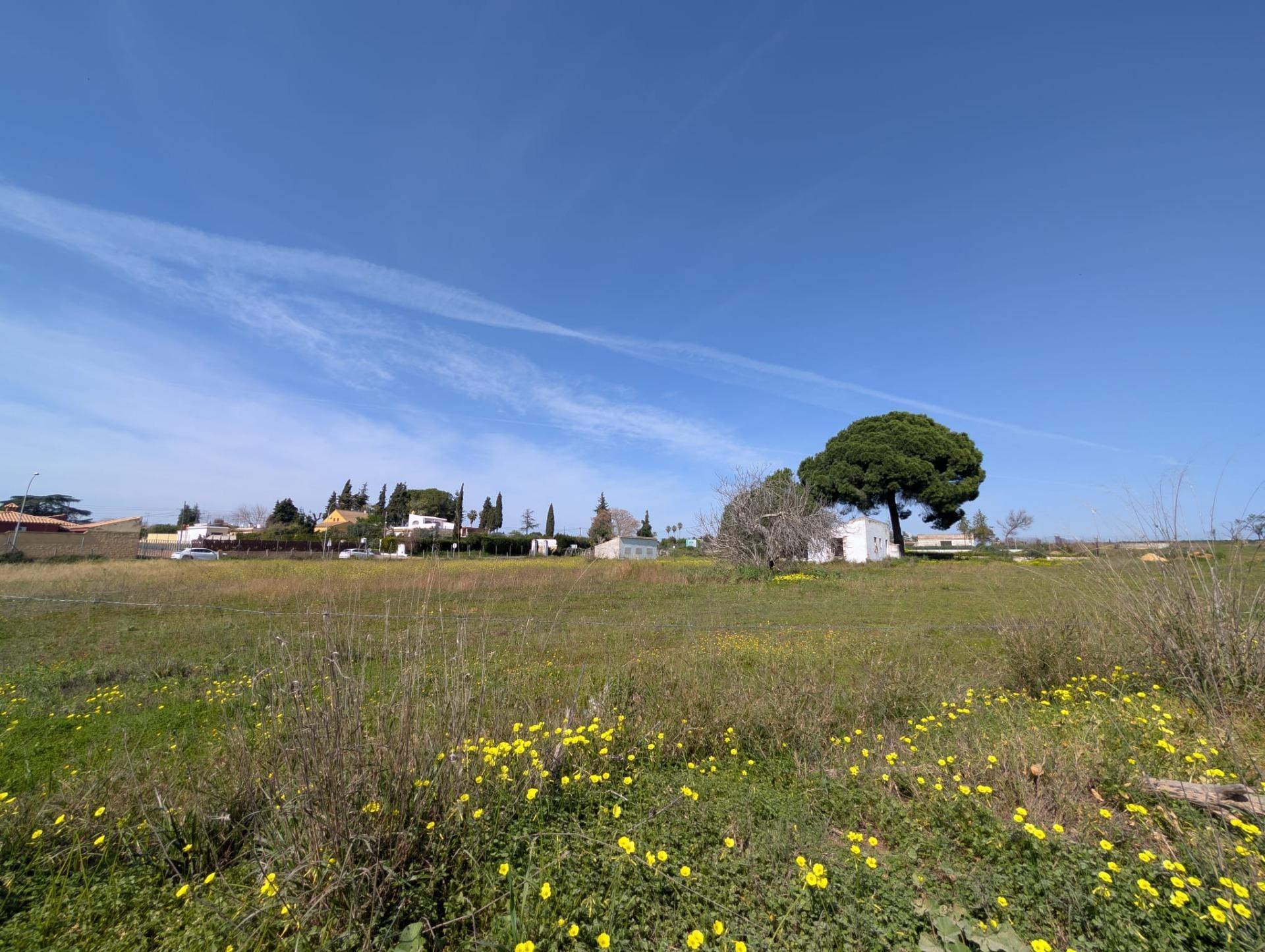 Casas o chalets-Venta-SanlÃºcar la Mayor-2115829-Foto-3