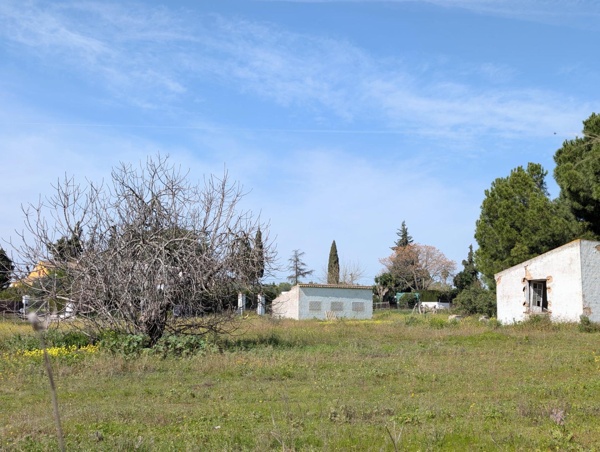 Casas o chalets-Venta-SanlÃºcar la Mayor-2115829-Foto-4