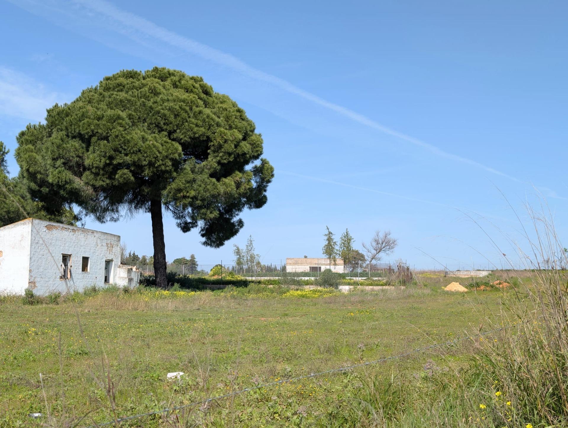 Casas o chalets-Venta-SanlÃºcar la Mayor-2115829-Foto-5