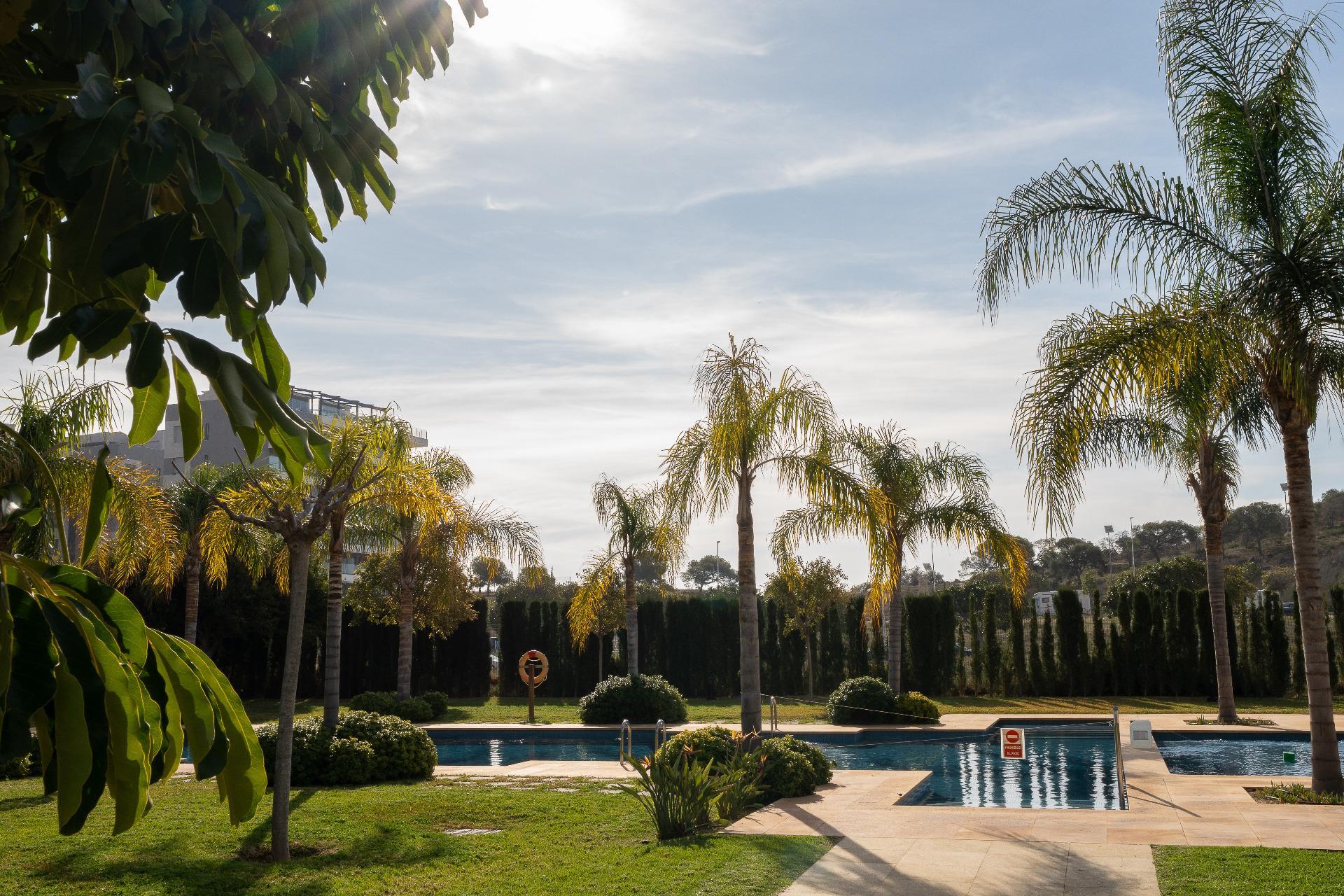 Negocios-Venta-La Villajoyosa-2115880-Foto-22