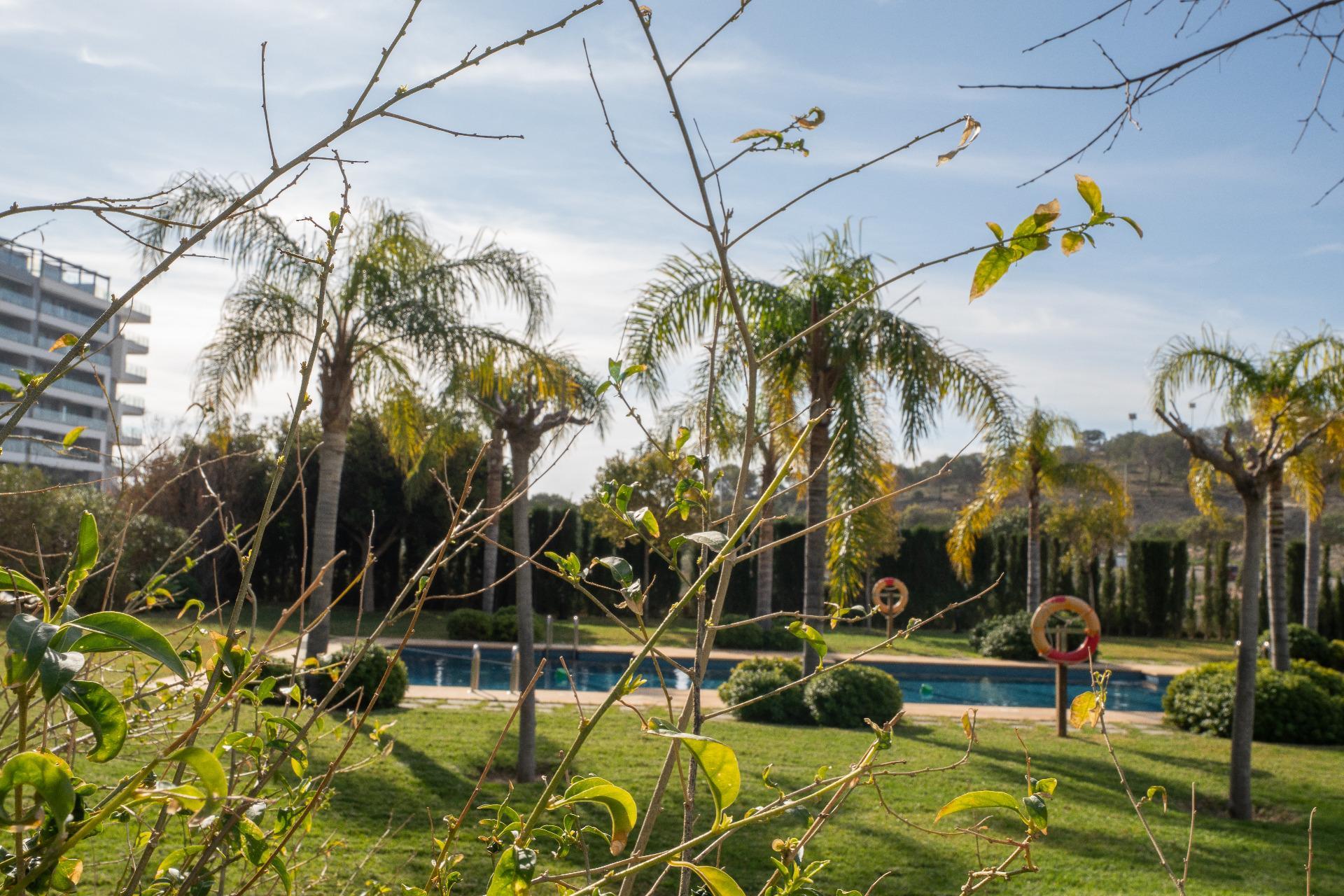 Negocios-Venta-La Villajoyosa-2115880-Foto-23