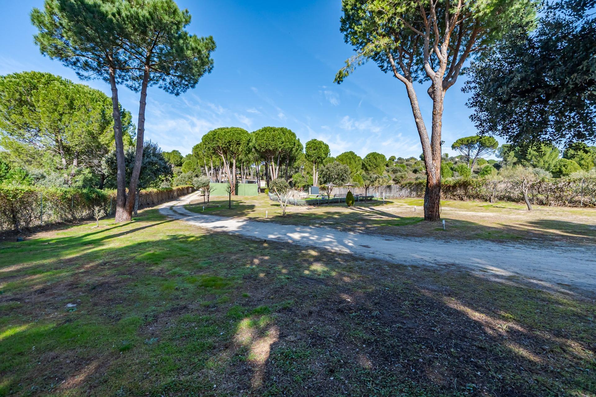 Pisos-Venta-Ãvila-2115868-Foto-77