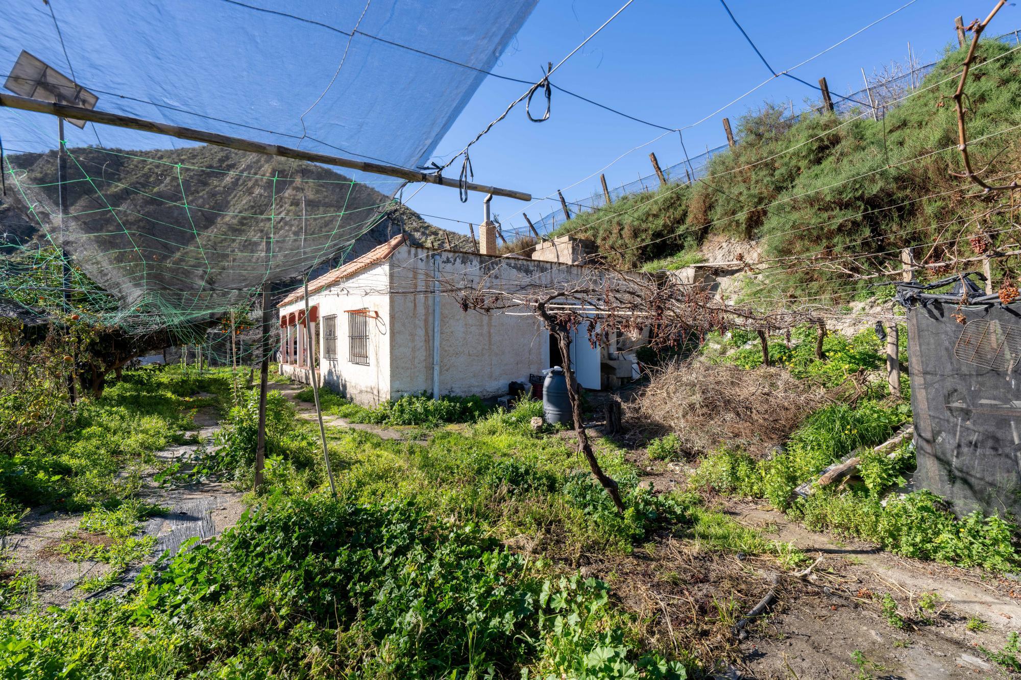 Pisos-Venta-CanjÃ¡yar-2115844-Foto-24