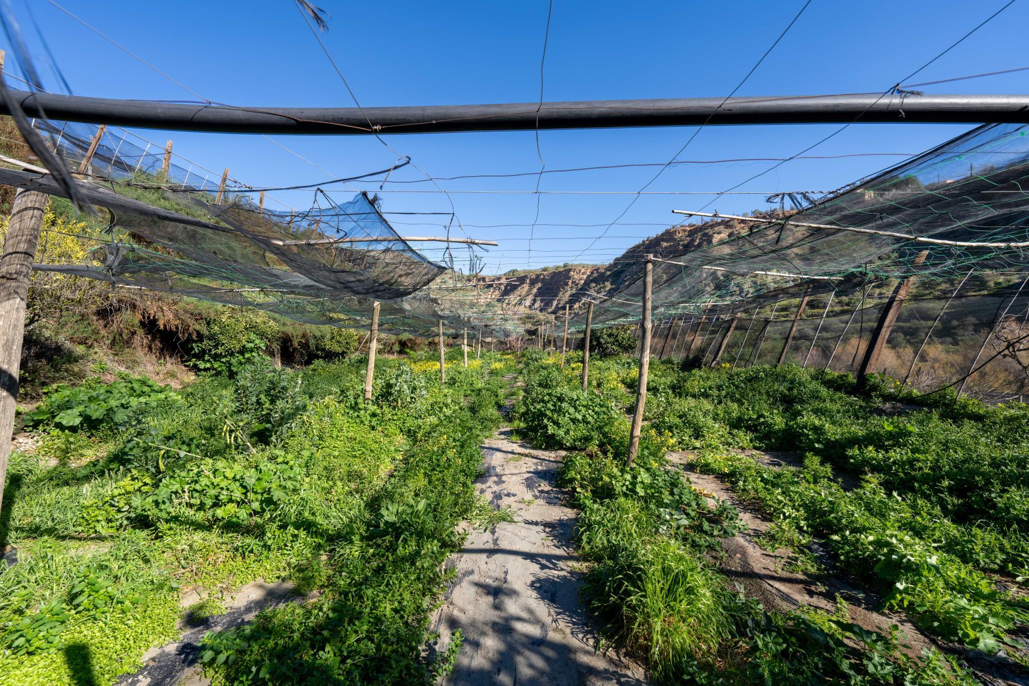 Pisos-Venta-CanjÃ¡yar-2115844-Foto-25