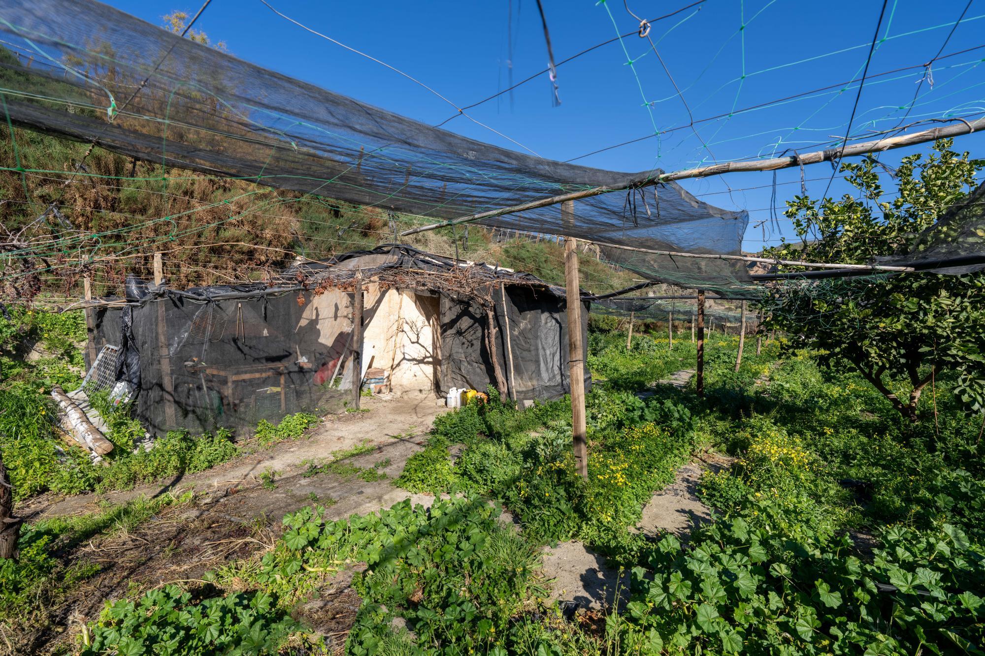 Pisos-Venta-CanjÃ¡yar-2115844-Foto-26