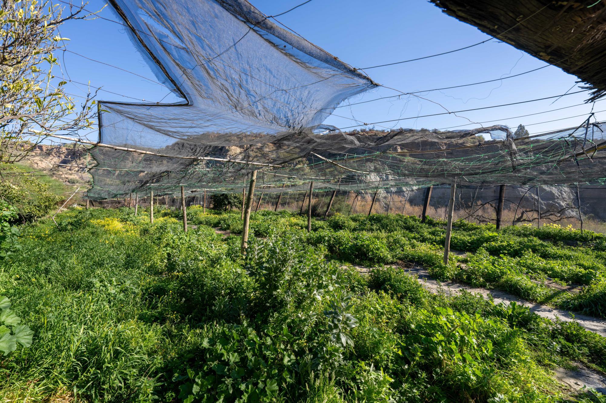 Pisos-Venta-CanjÃ¡yar-2115844-Foto-27