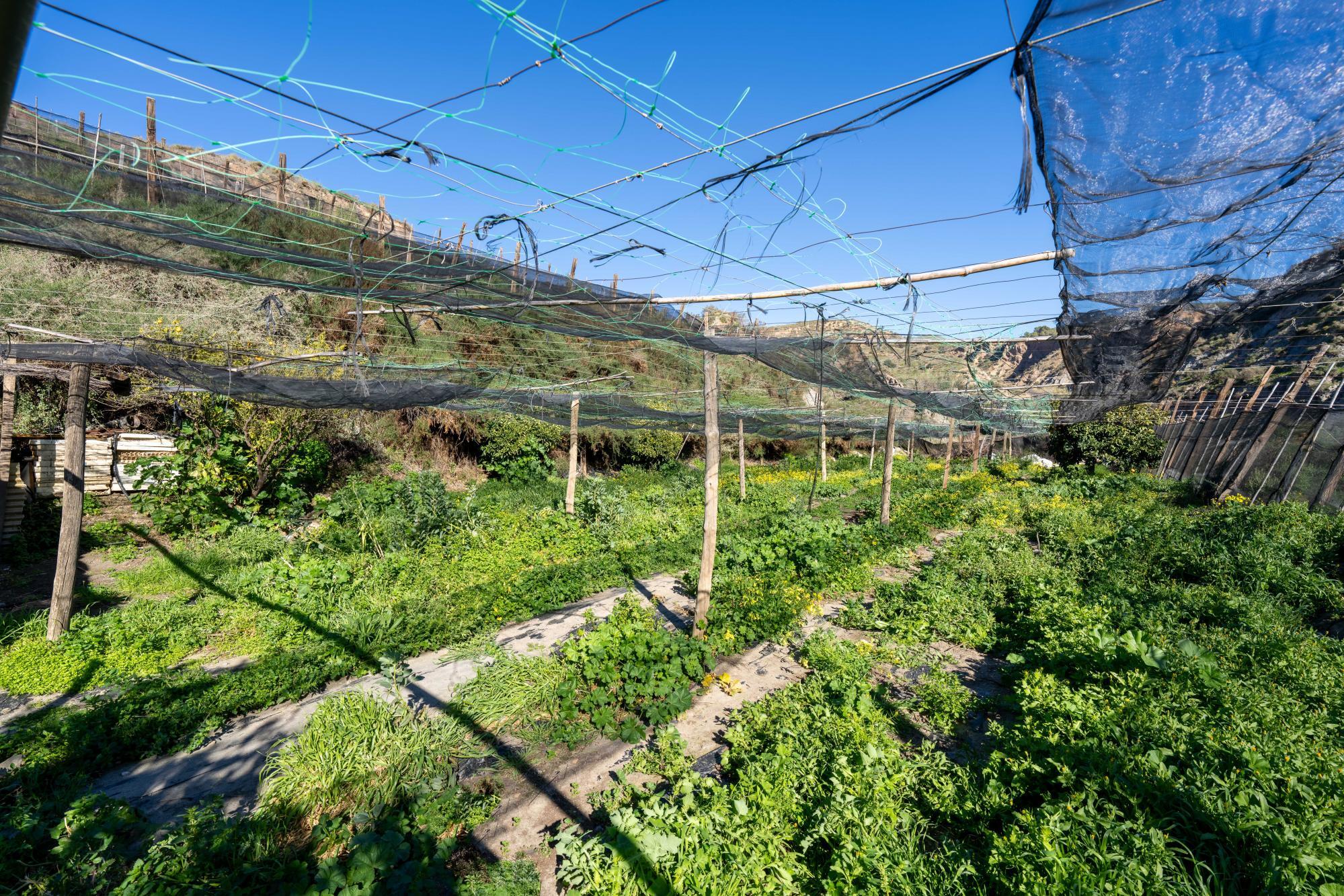 Pisos-Venta-CanjÃ¡yar-2115844-Foto-28