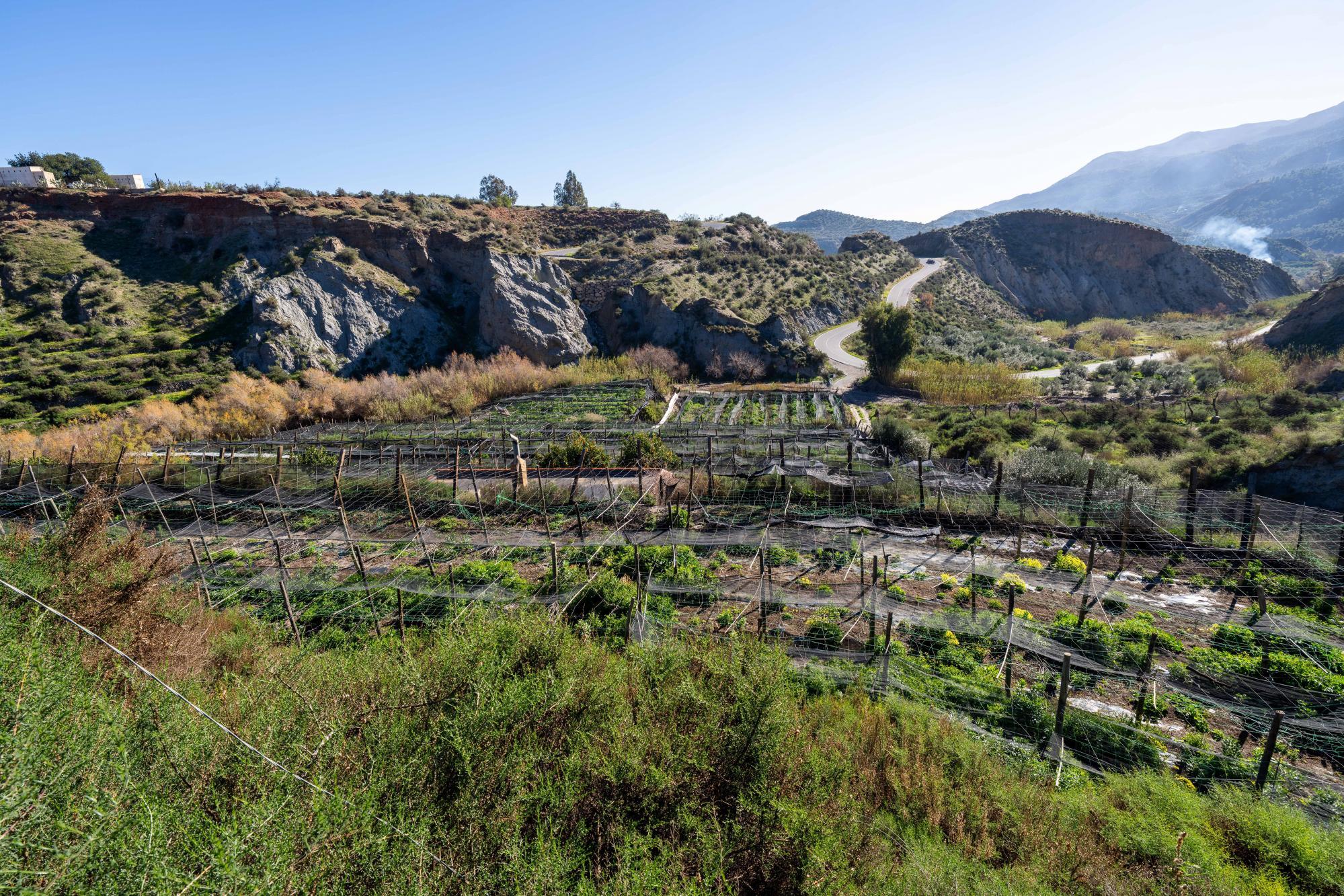 Pisos-Venta-CanjÃ¡yar-2115844-Foto-31