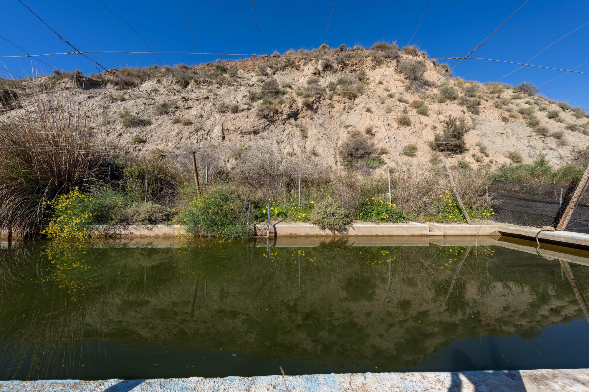 Pisos-Venta-CanjÃ¡yar-2115844-Foto-34