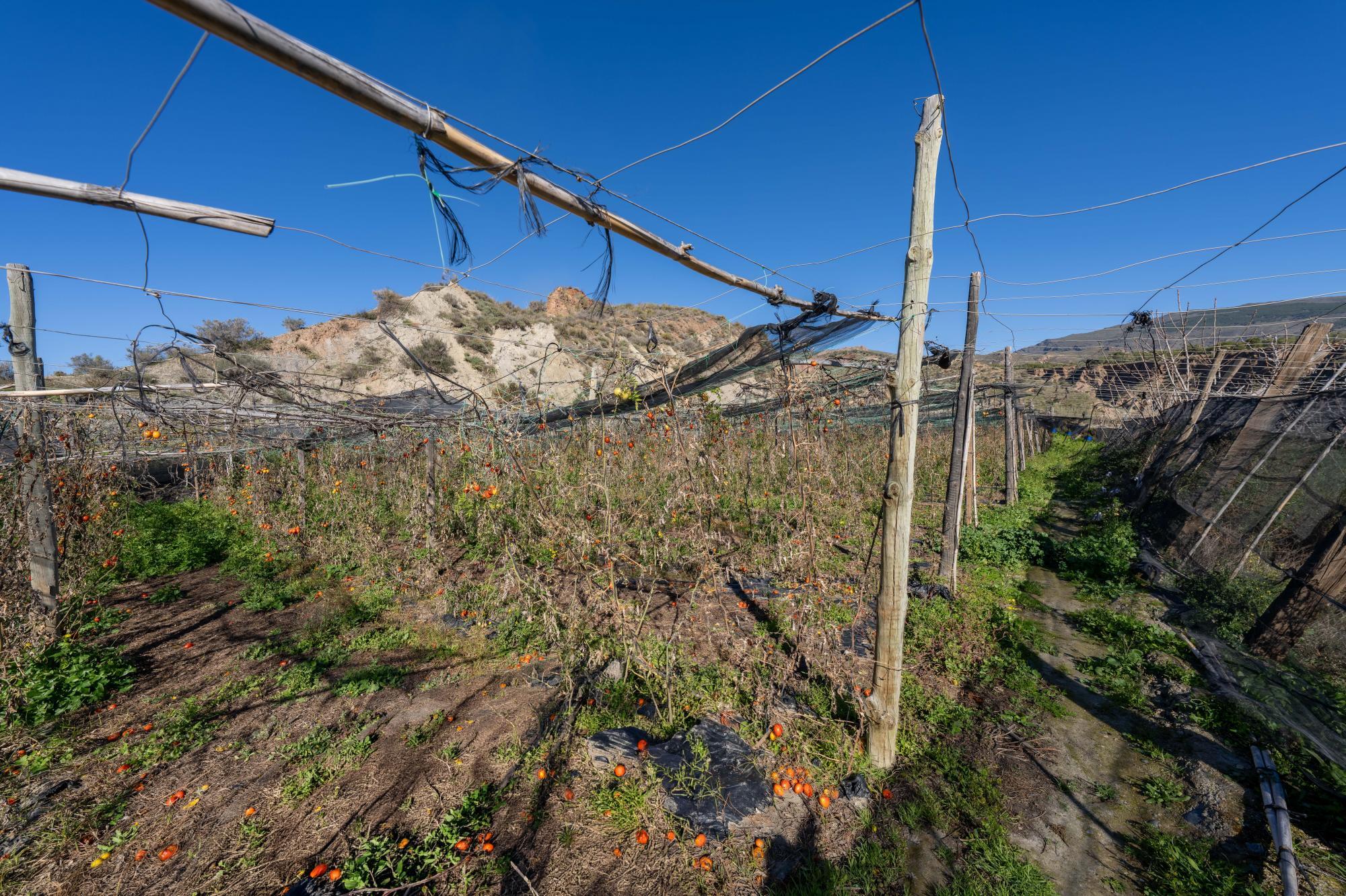 Pisos-Venta-CanjÃ¡yar-2115844-Foto-32