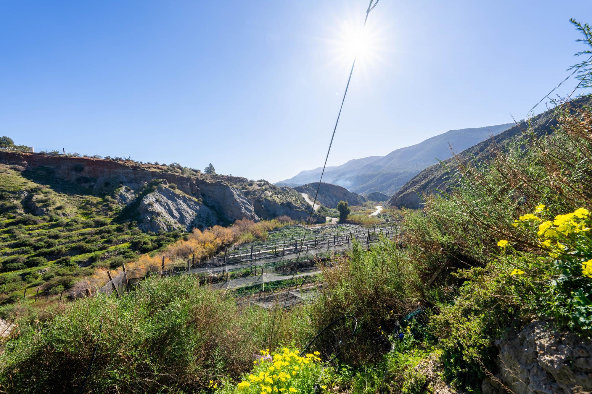 Pisos-Venta-CanjÃ¡yar-2115844-Foto-35