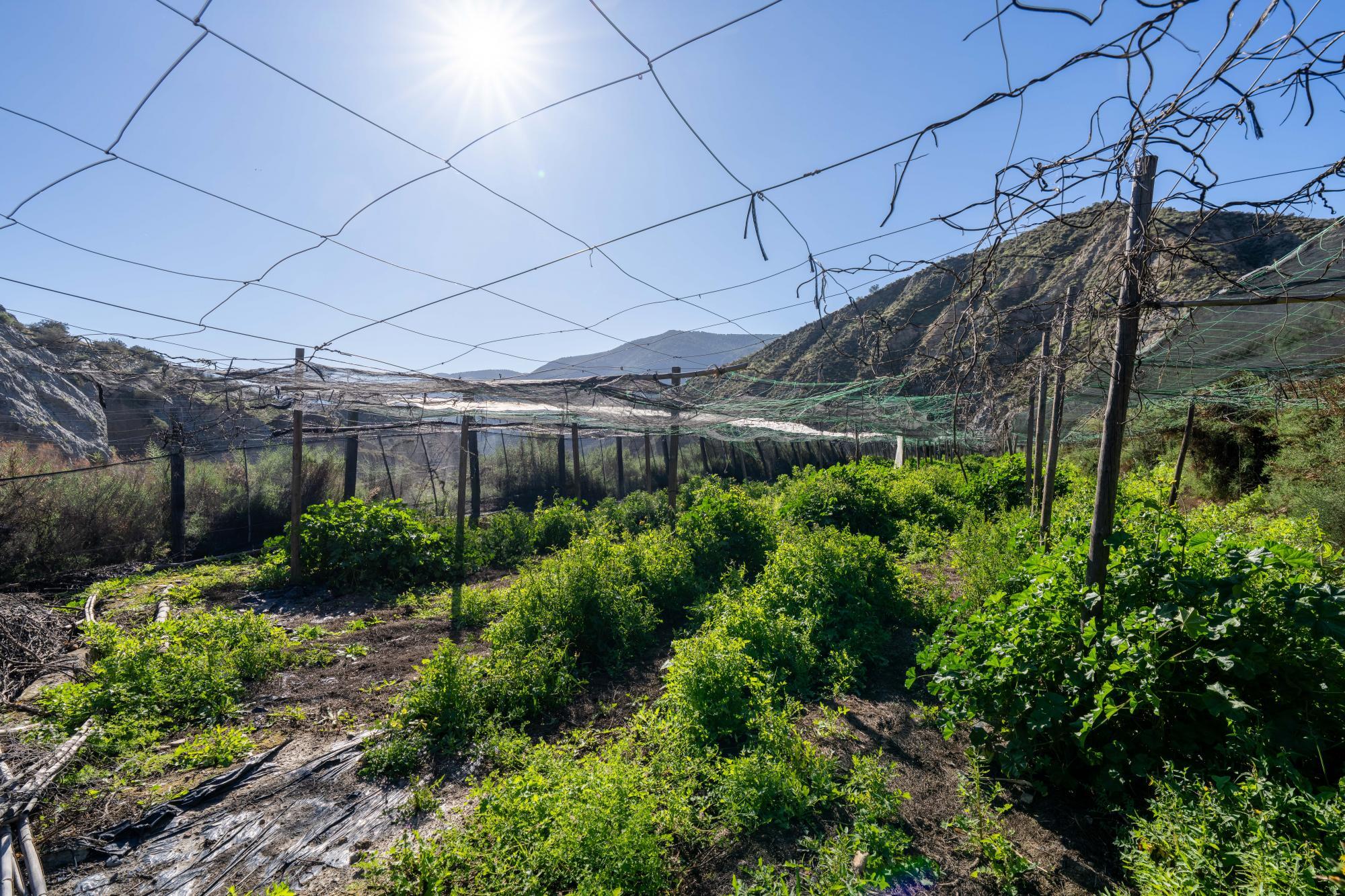 Pisos-Venta-CanjÃ¡yar-2115844-Foto-39