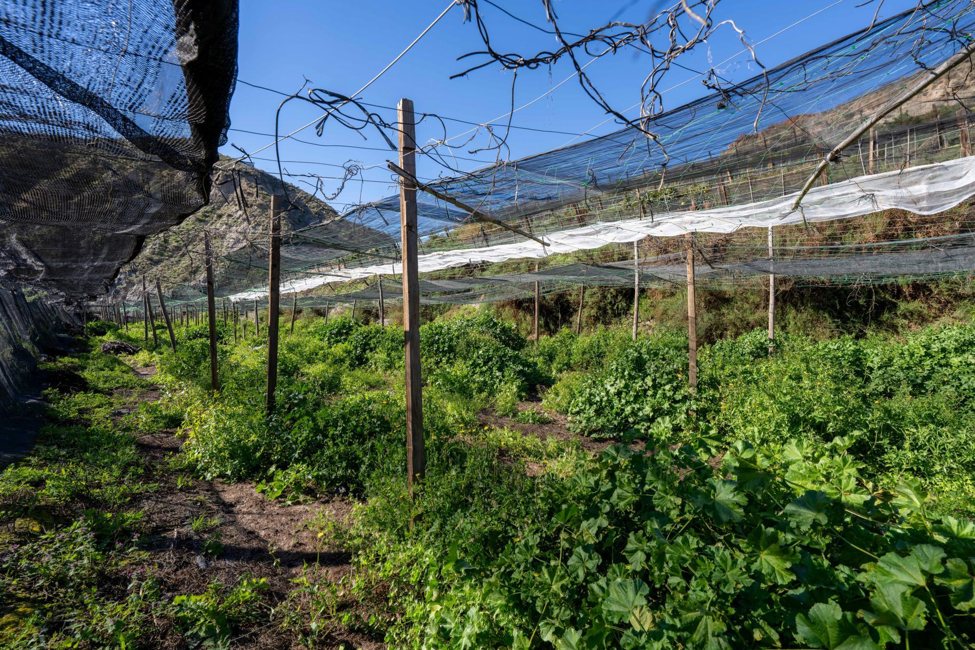 Pisos-Venta-CanjÃ¡yar-2115844-Foto-38