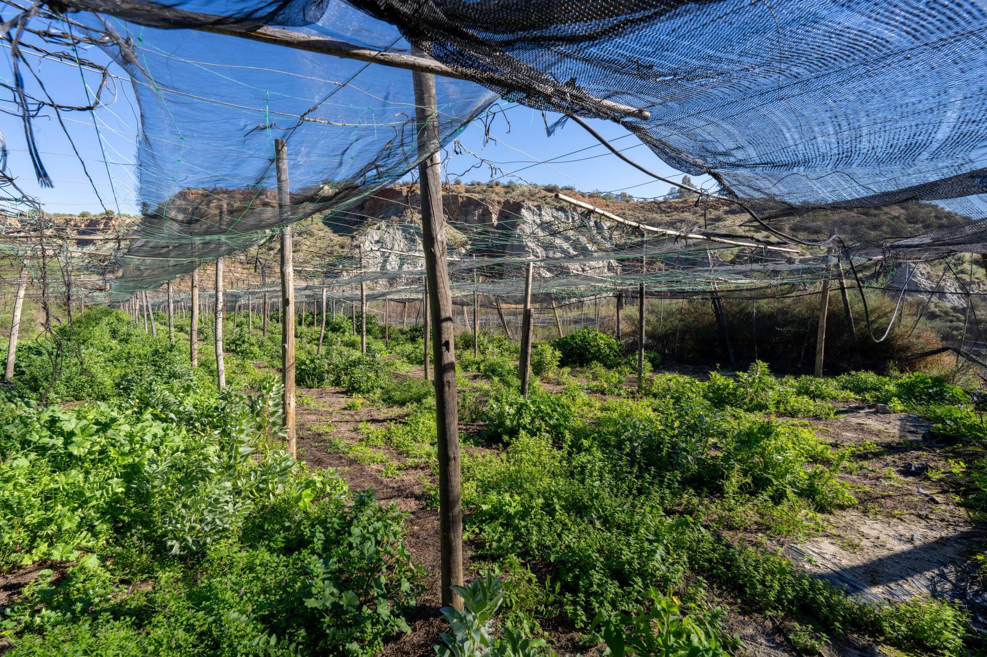 Pisos-Venta-CanjÃ¡yar-2115844-Foto-40