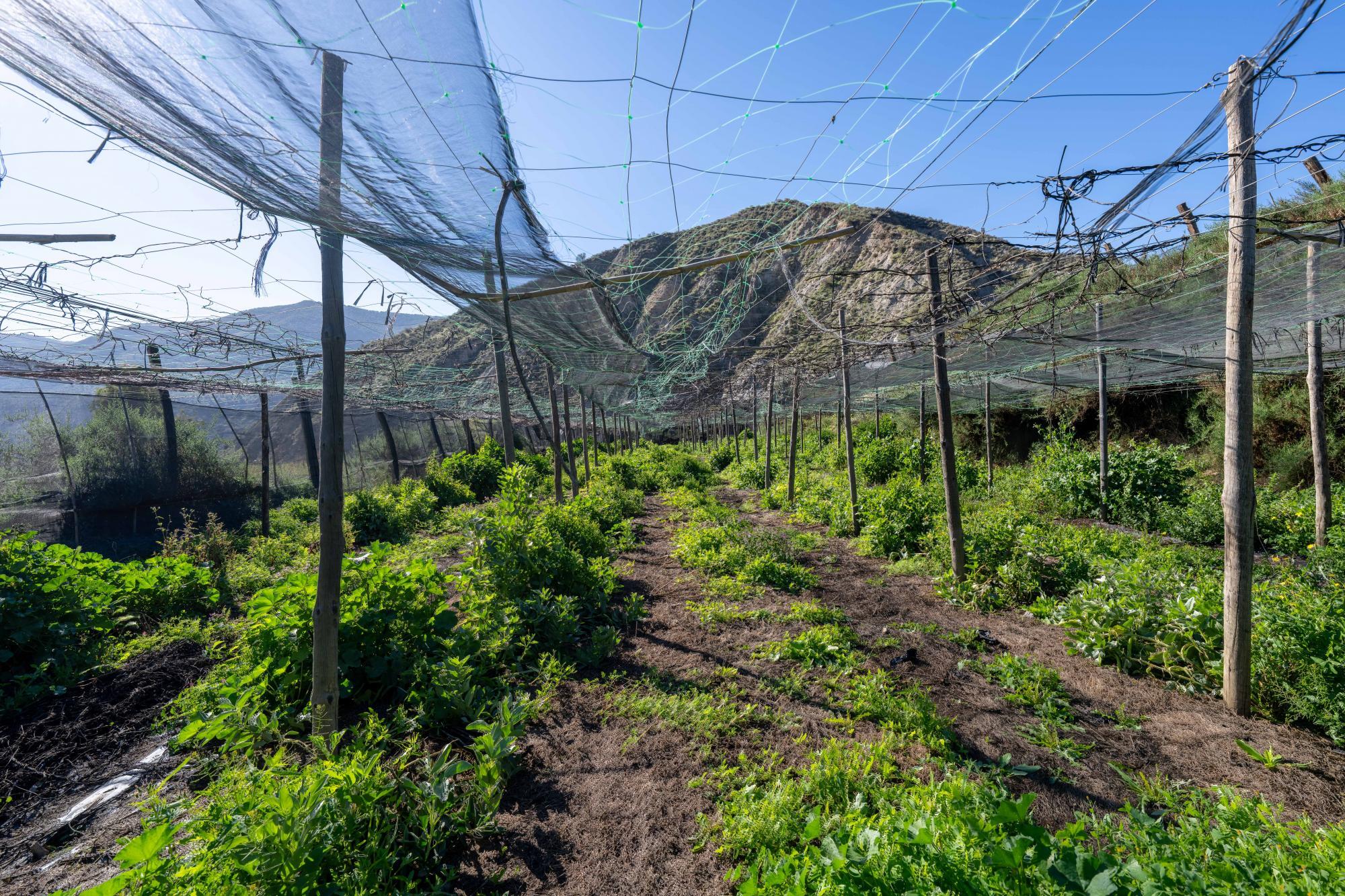 Pisos-Venta-CanjÃ¡yar-2115844-Foto-43