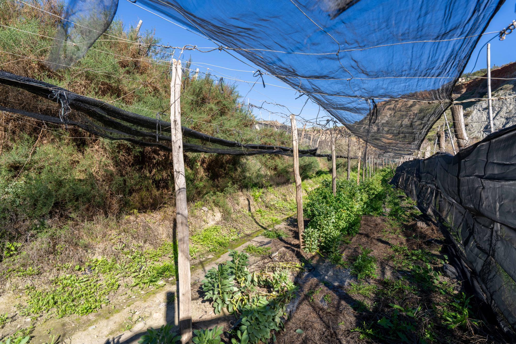 Pisos-Venta-CanjÃ¡yar-2115844-Foto-45