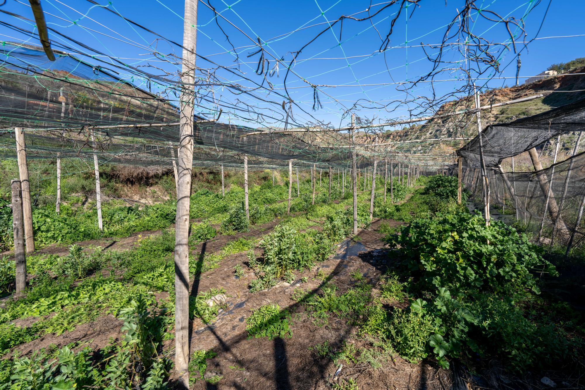 Pisos-Venta-CanjÃ¡yar-2115844-Foto-41