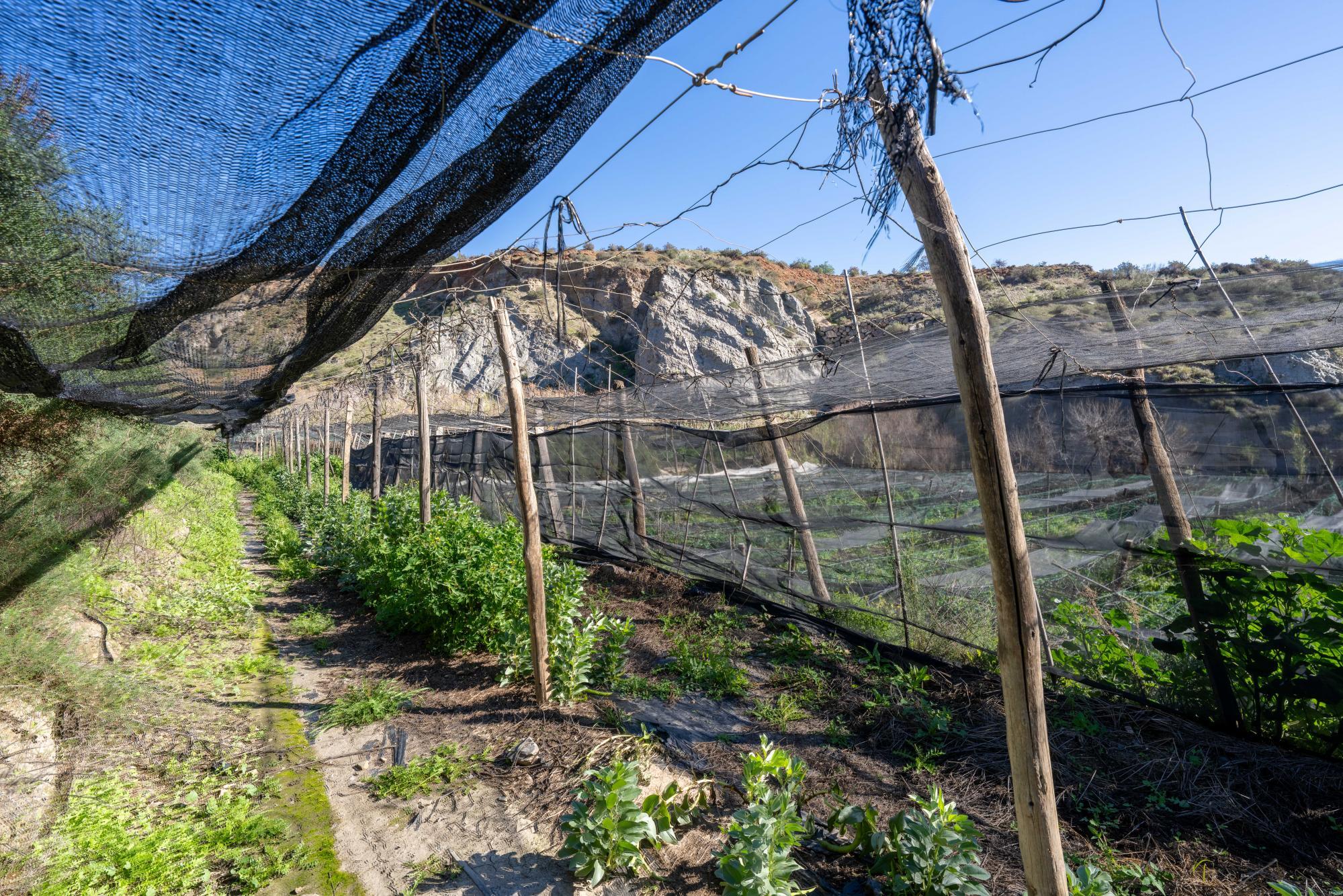 Pisos-Venta-CanjÃ¡yar-2115844-Foto-44