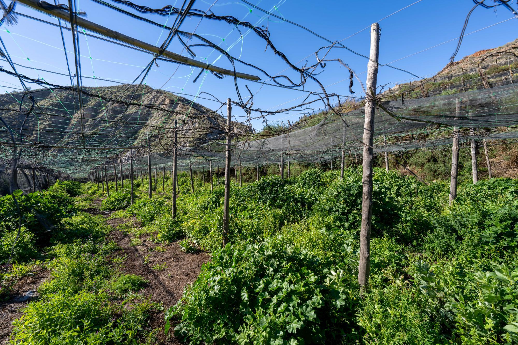 Pisos-Venta-CanjÃ¡yar-2115844-Foto-42