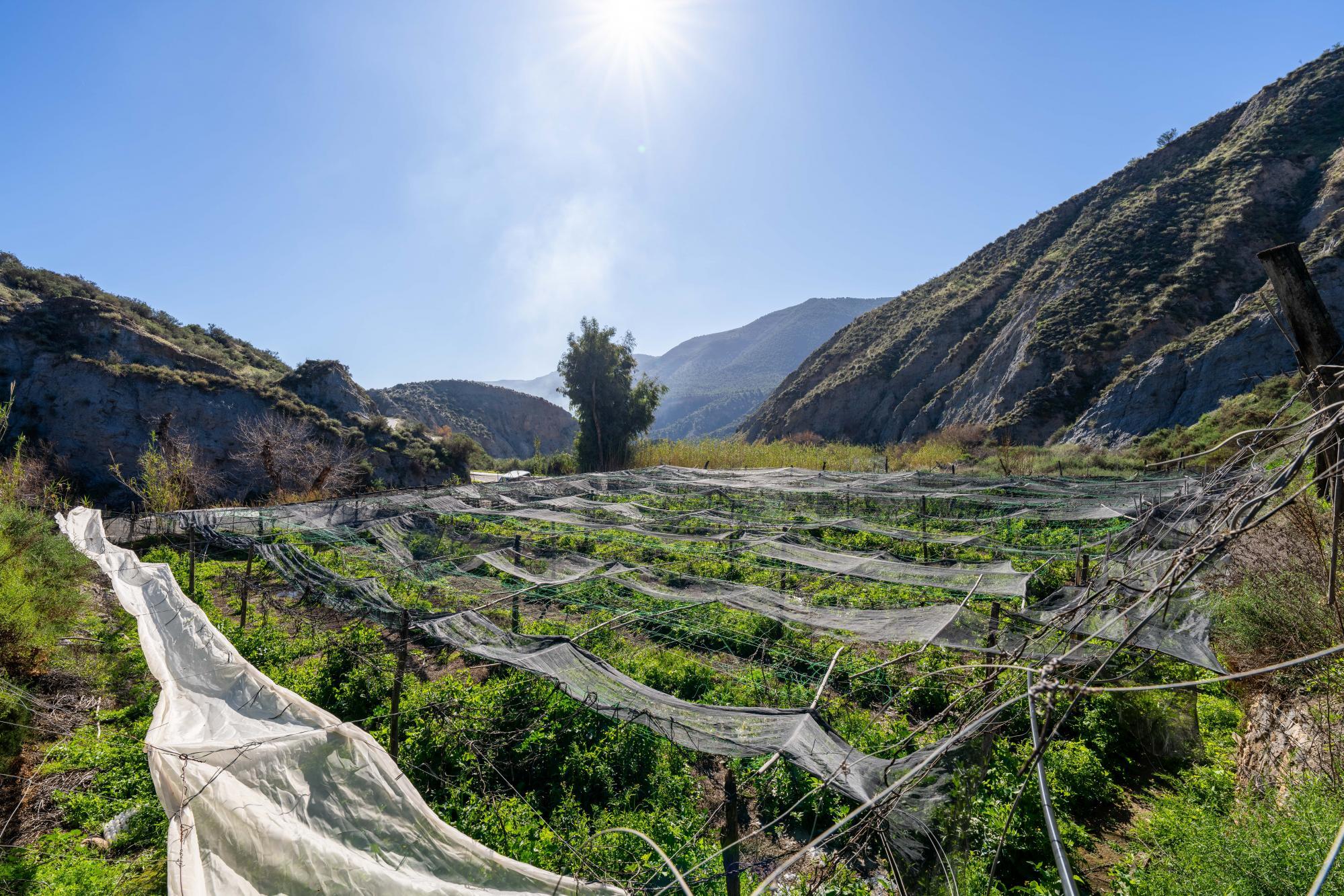 Pisos-Venta-CanjÃ¡yar-2115844-Foto-48