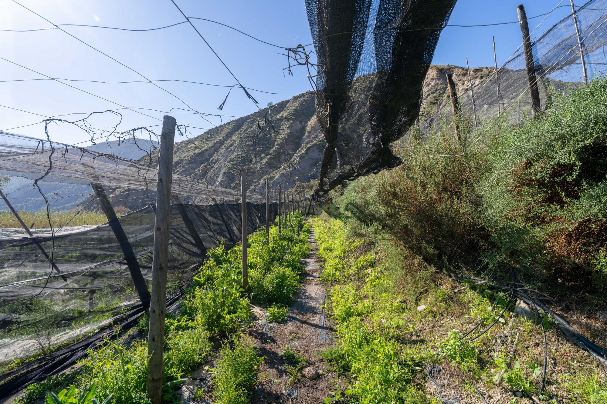 Pisos-Venta-CanjÃ¡yar-2115844-Foto-47