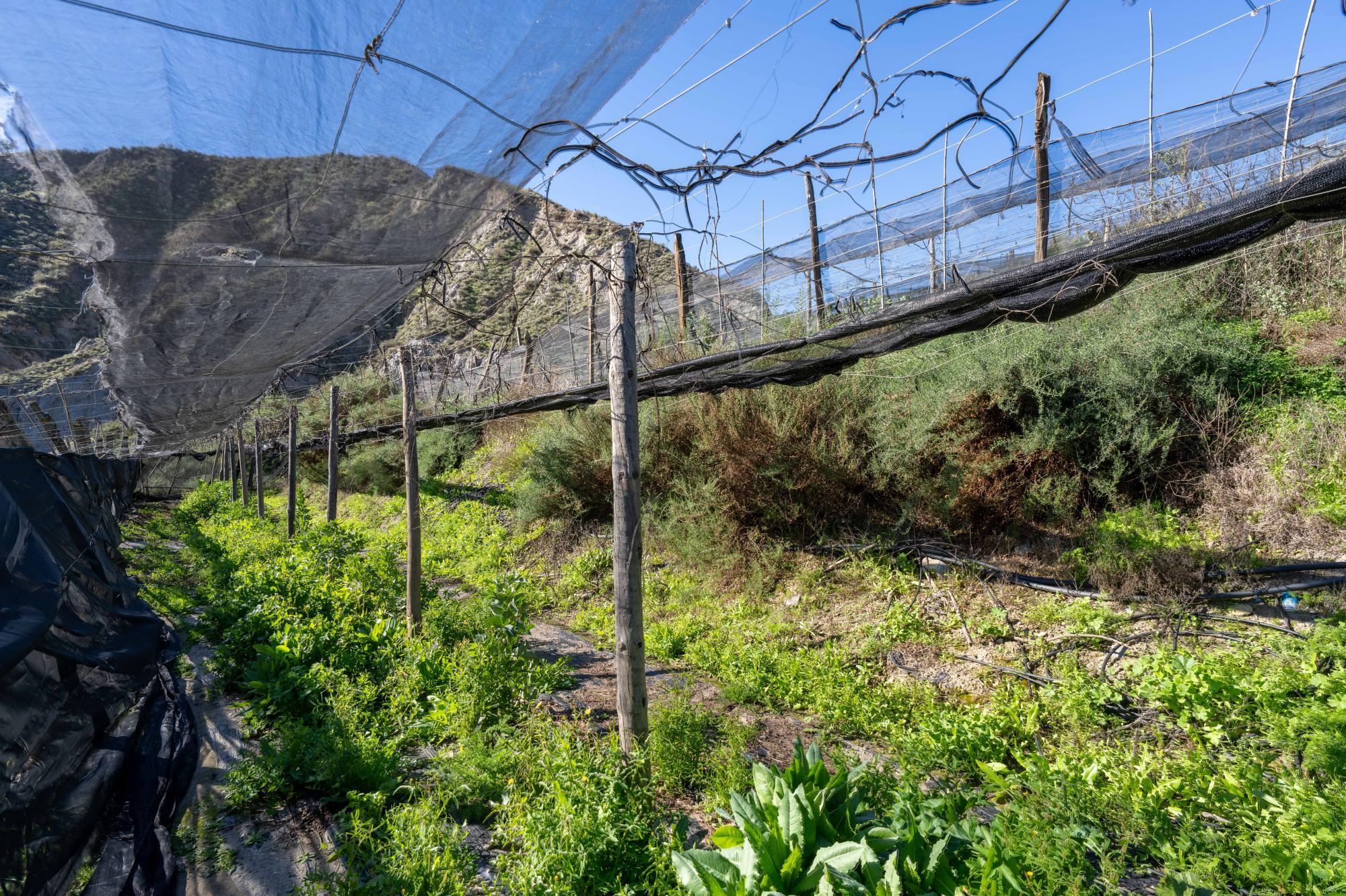 Pisos-Venta-CanjÃ¡yar-2115844-Foto-46