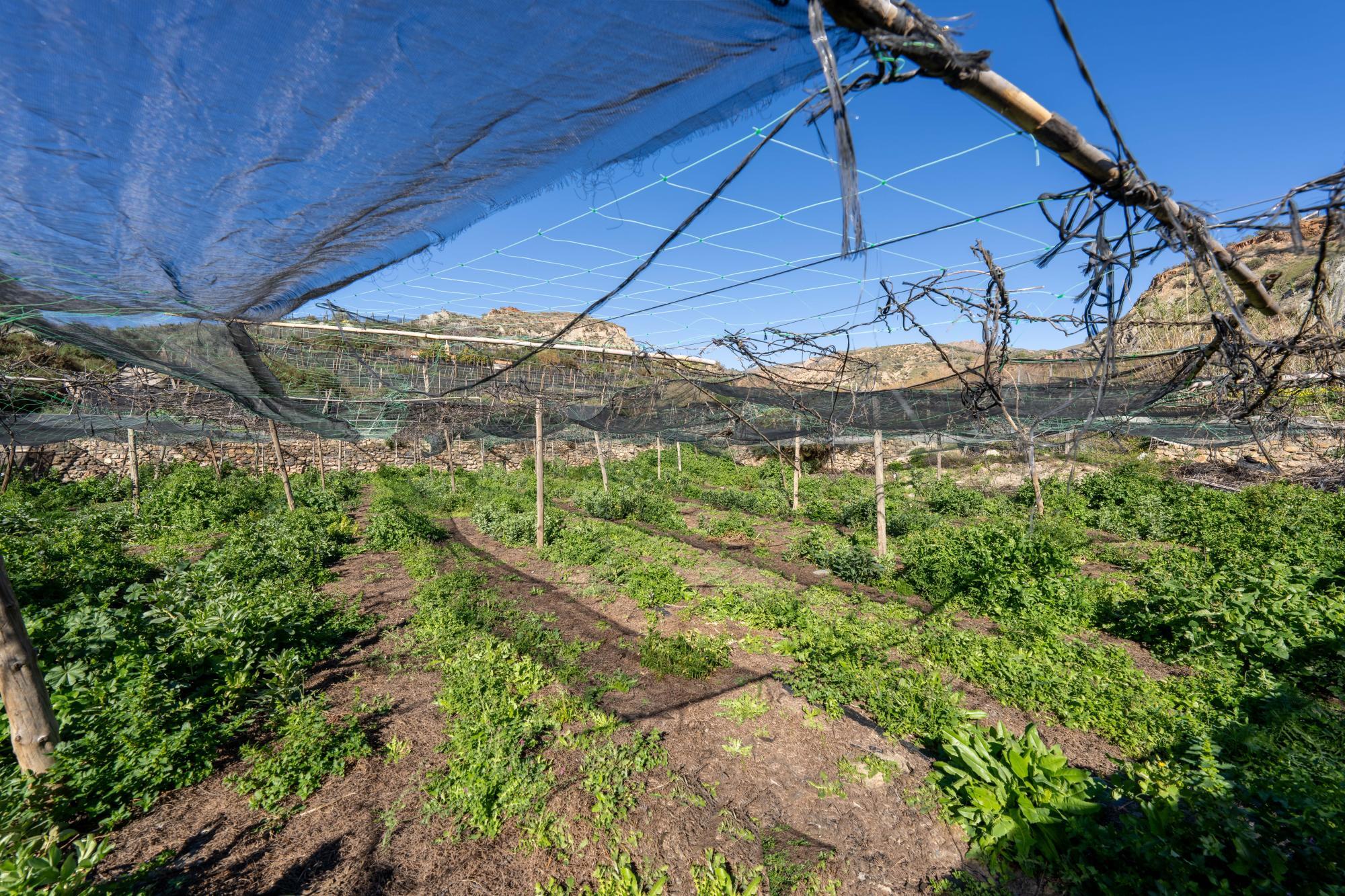 Pisos-Venta-CanjÃ¡yar-2115844-Foto-54