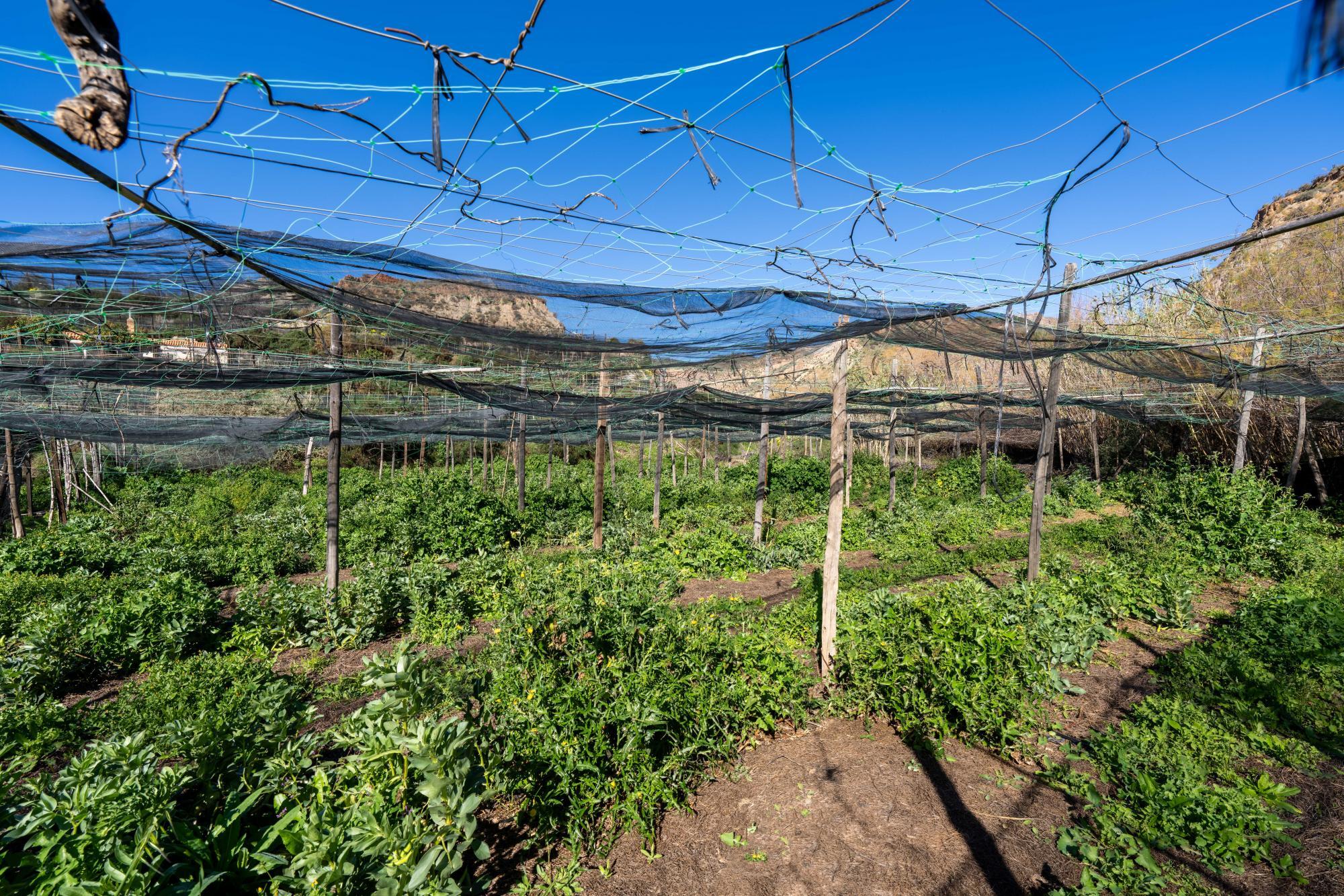 Pisos-Venta-CanjÃ¡yar-2115844-Foto-52