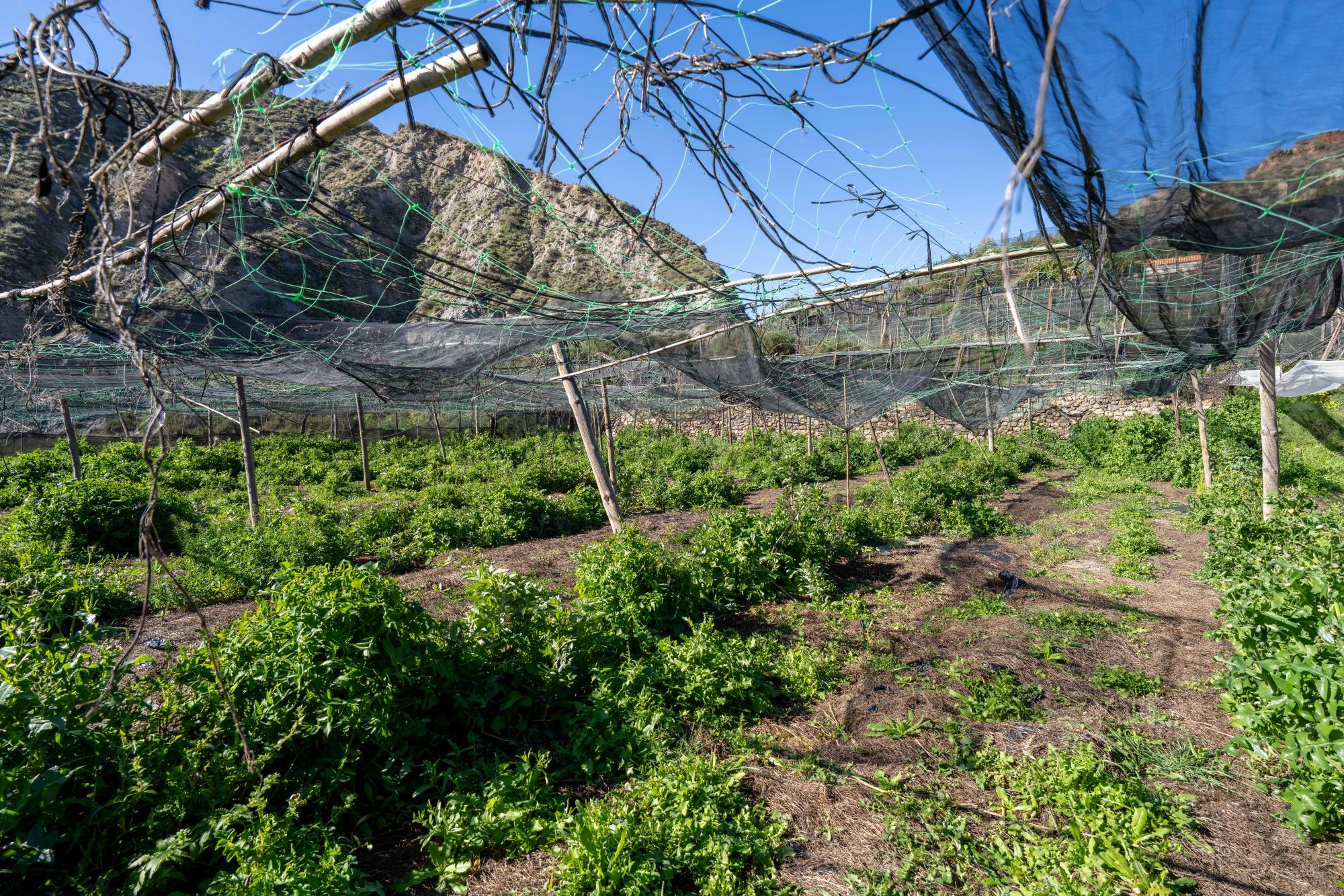 Pisos-Venta-CanjÃ¡yar-2115844-Foto-53