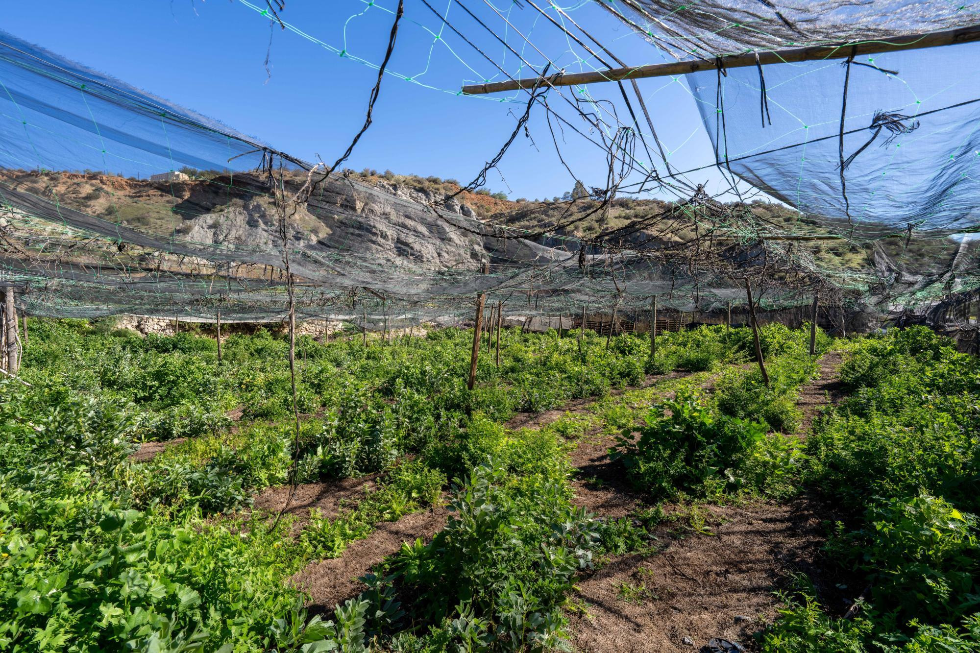 Pisos-Venta-CanjÃ¡yar-2115844-Foto-55