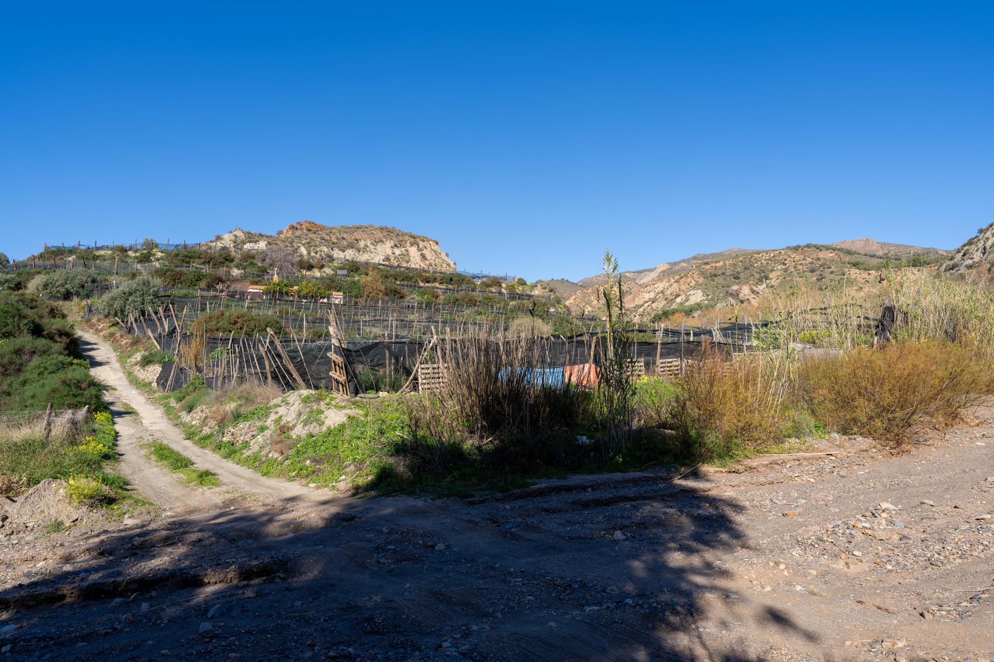 Pisos-Venta-CanjÃ¡yar-2115844-Foto-56