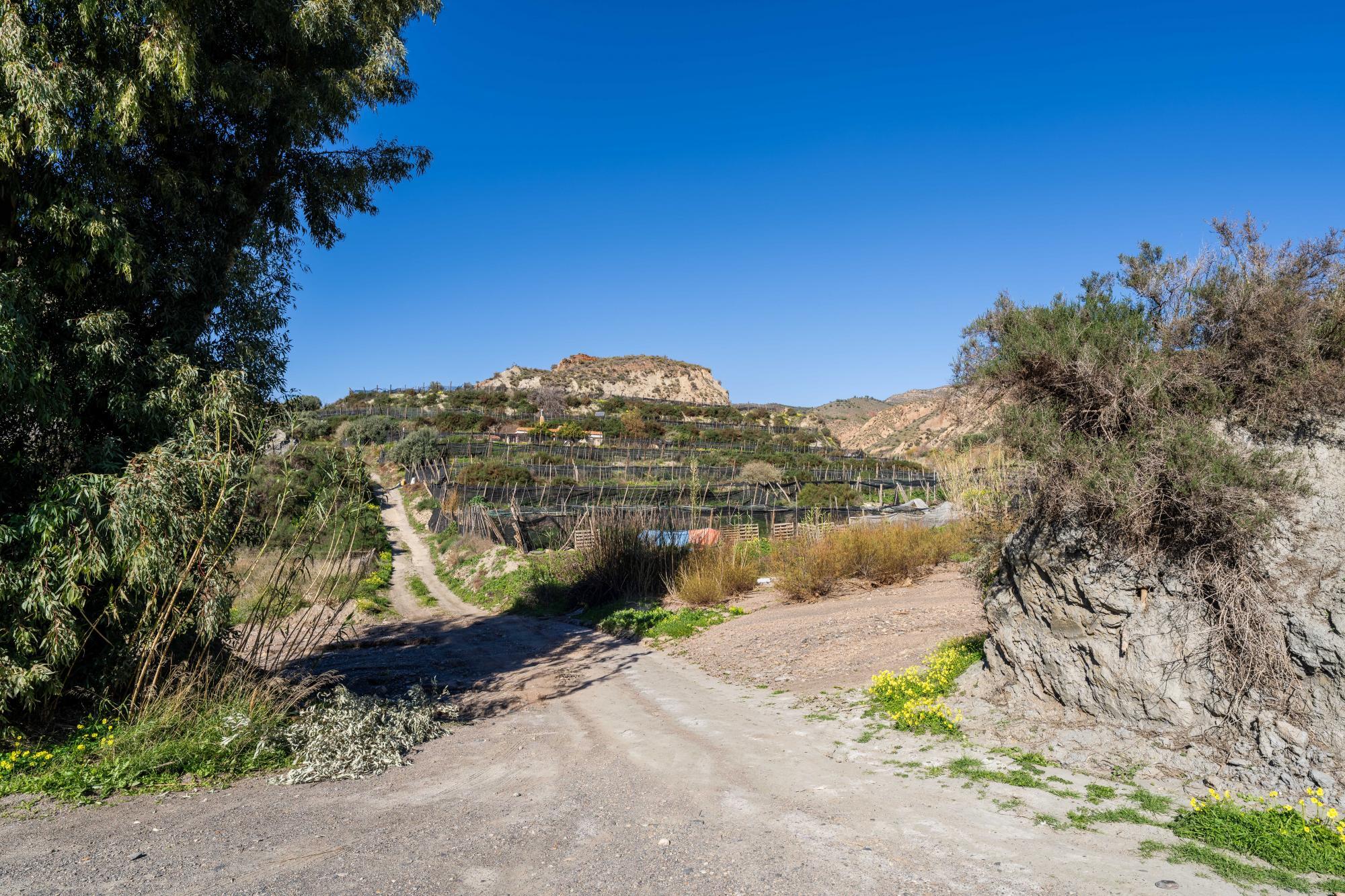 Pisos-Venta-CanjÃ¡yar-2115844-Foto-57