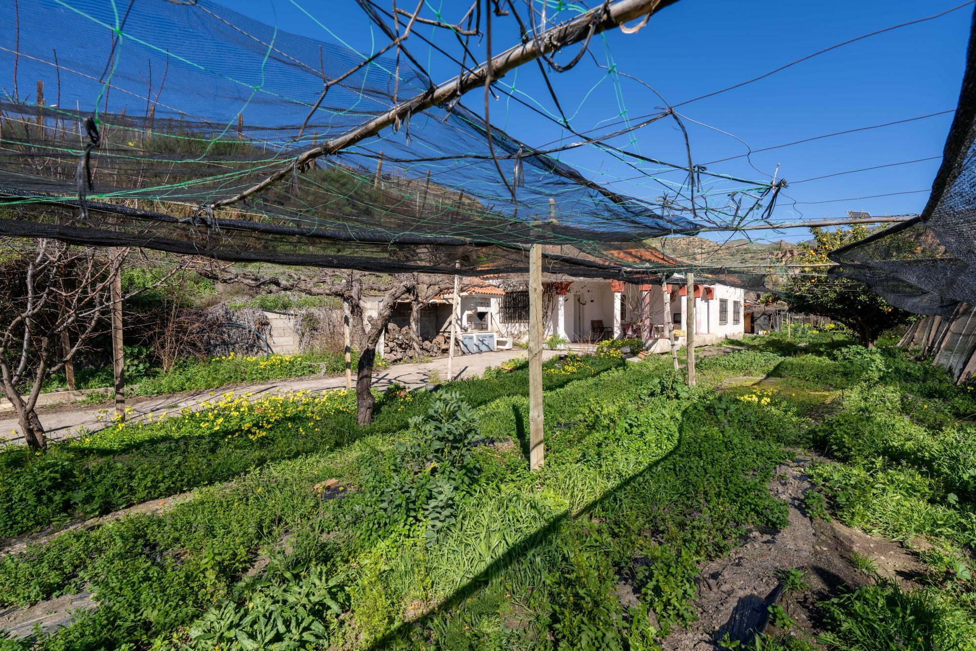 Pisos-Venta-CanjÃ¡yar-2115844-Foto-59