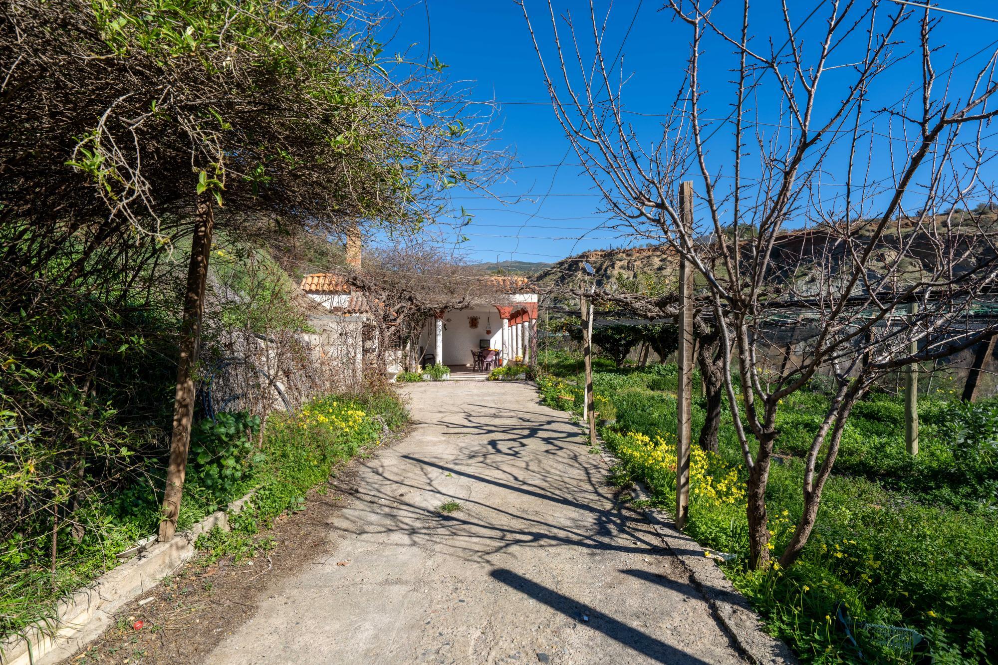 Pisos-Venta-CanjÃ¡yar-2115844-Foto-58